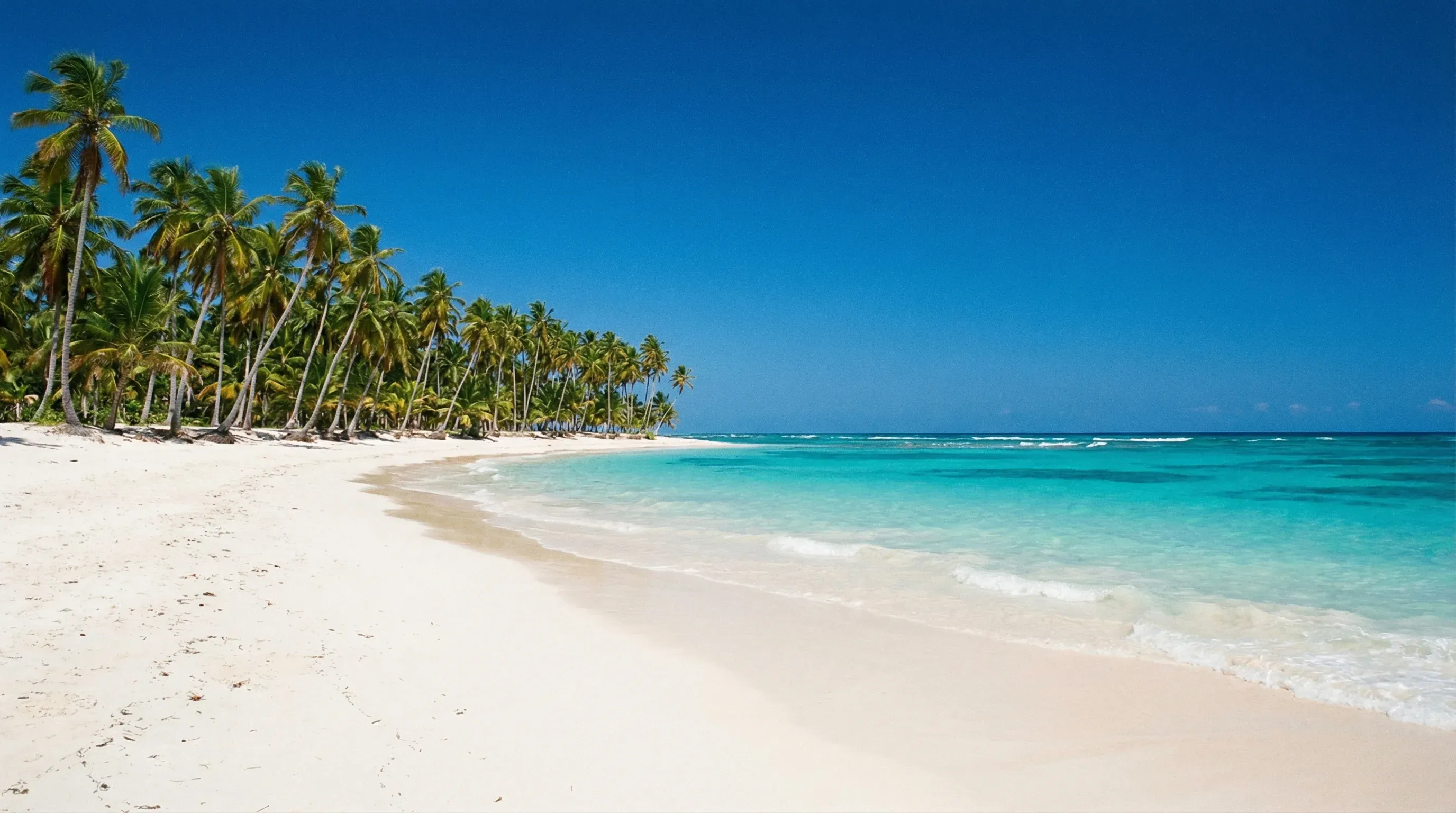 White sand beach and turquoise water lined with coconut palm trees at Playa Bávaro in Punta Cana.