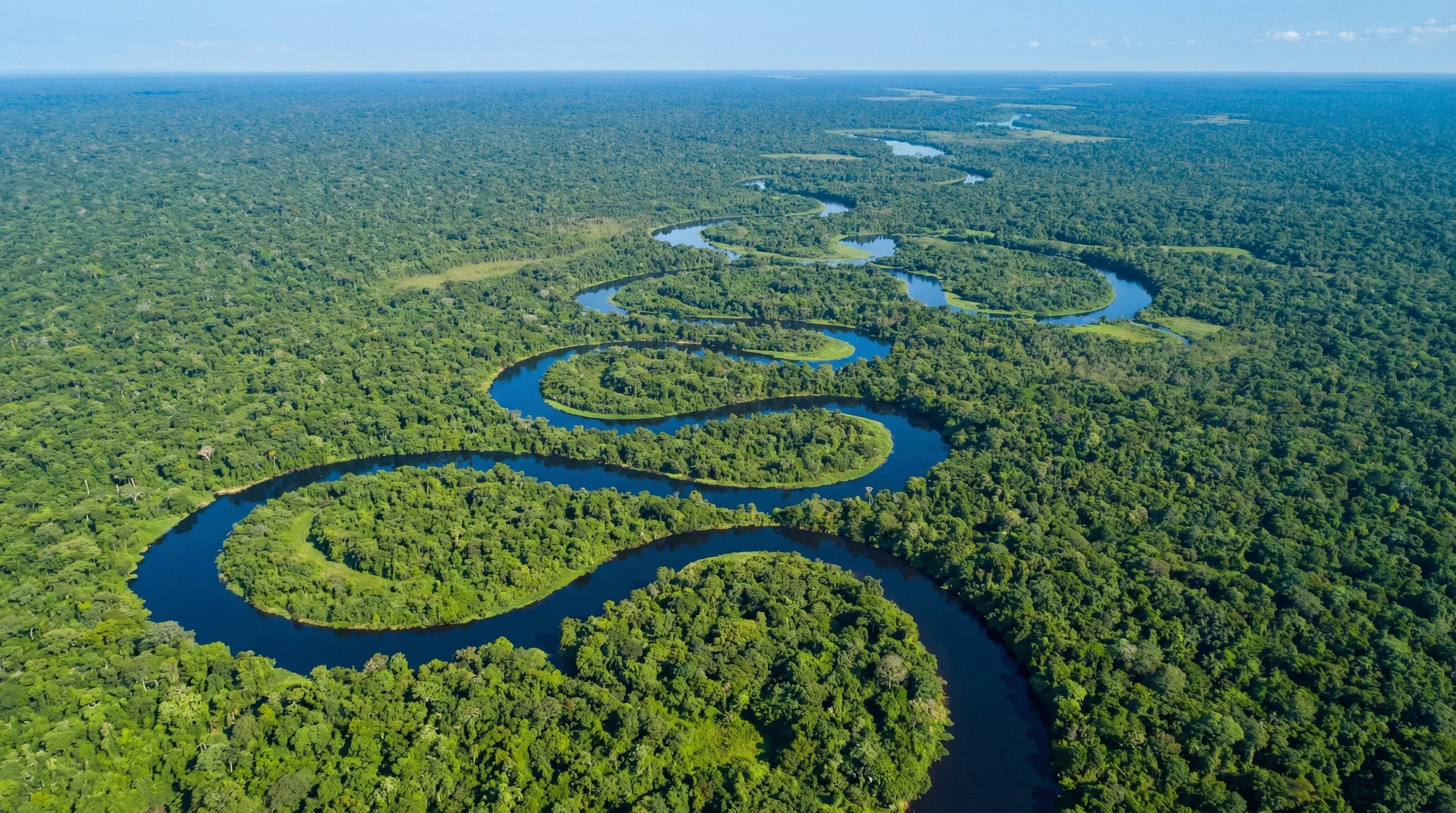 A high-angle view of a winding blue river cutting through a dense green tropical rainforest under a clear sky.