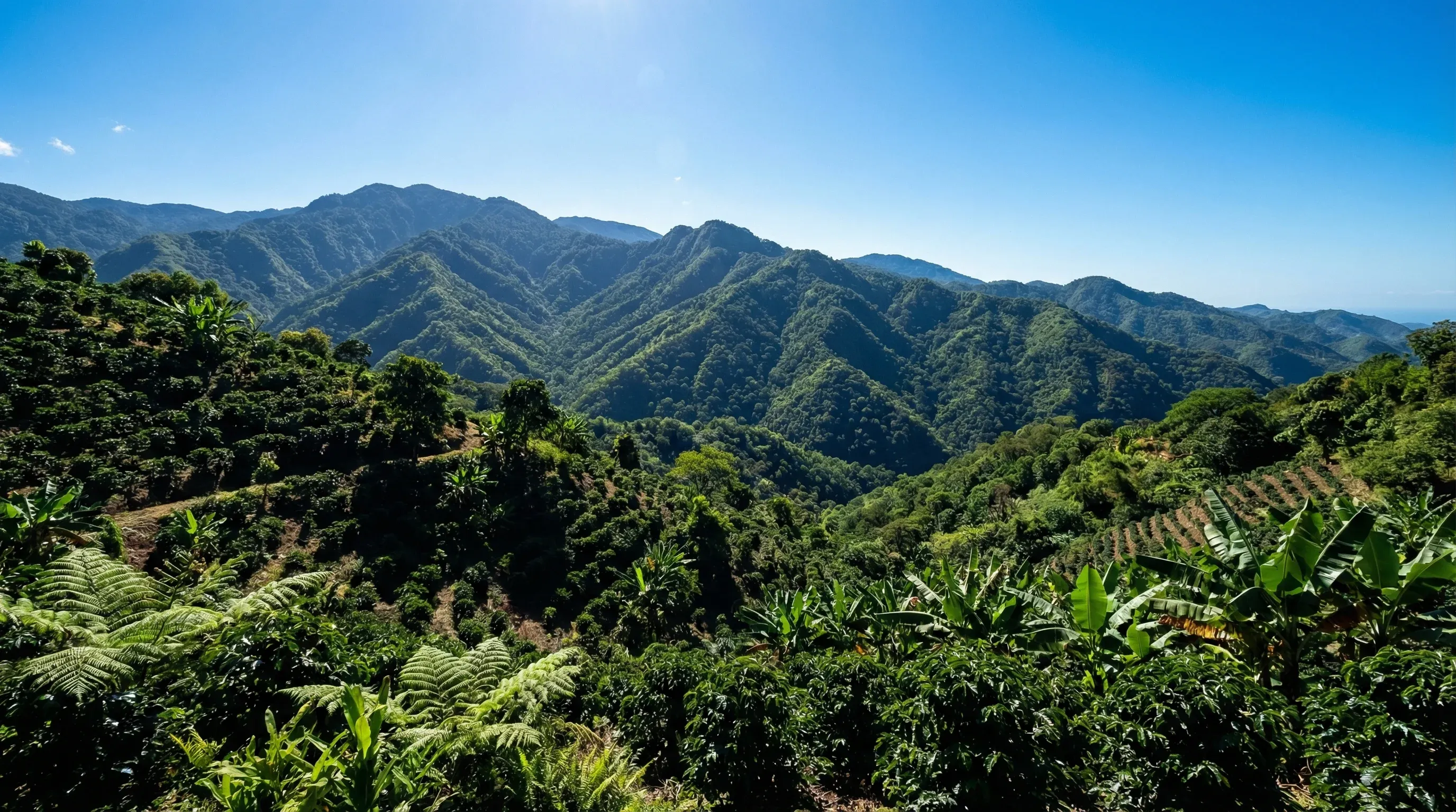 A wide-angle daytime view of the lush green mountain ridges and forested slopes of the Blue Mountains in Jamaica.