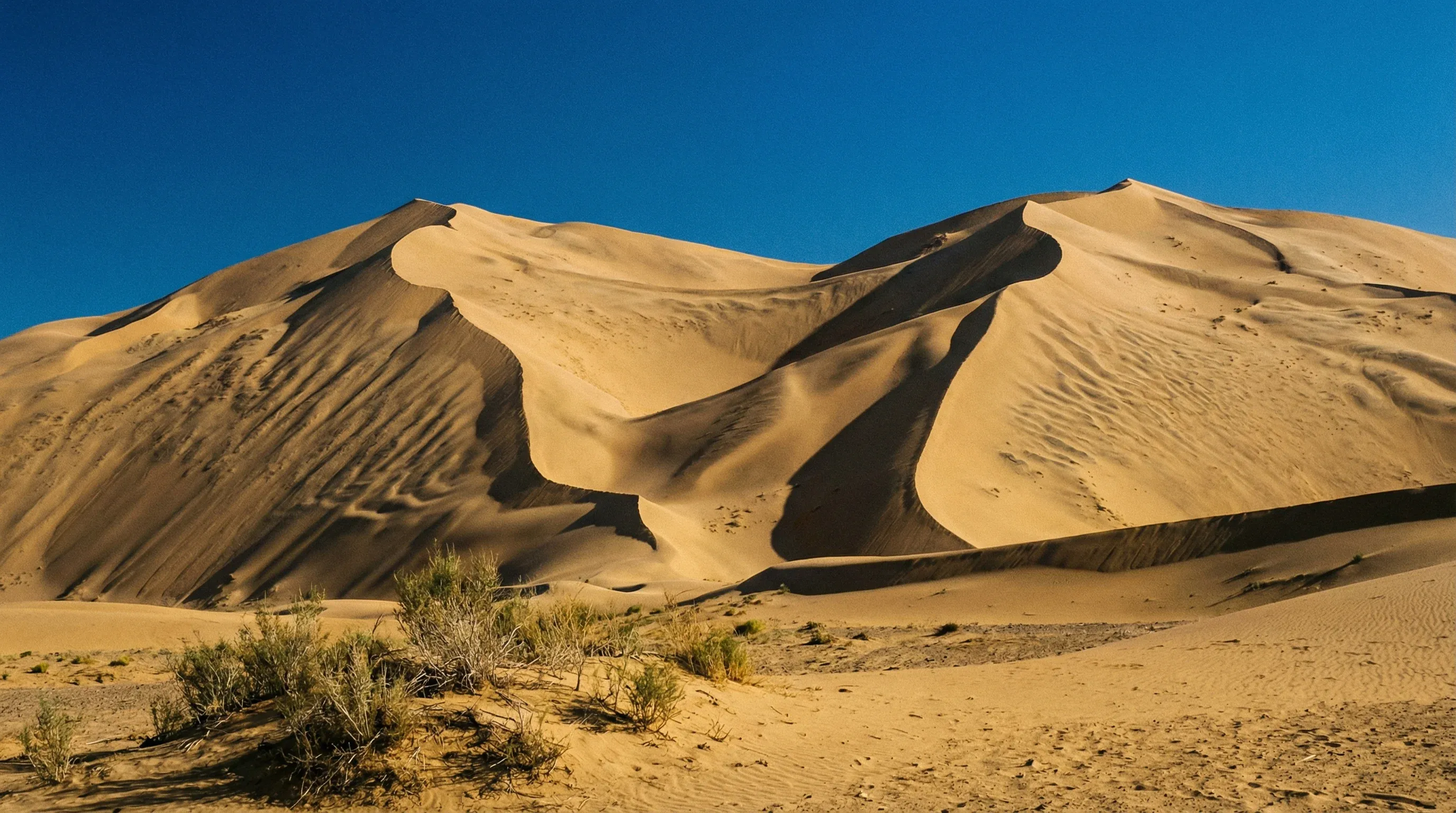 High, wind-sculpted sand dunes of Khongoryn Els in the Gobi Desert, Mongolia, under a bright midday sun.