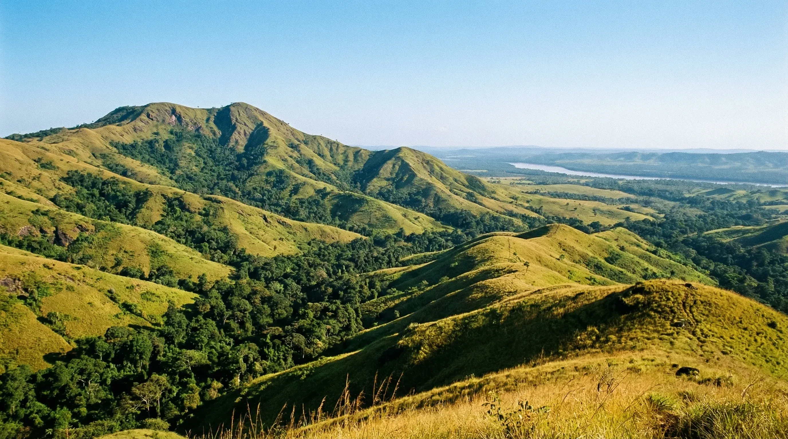 A wide-angle landscape of the rolling hills and savanna-forest mosaic of Mount Brazza in Lopé National Park, Gabon.