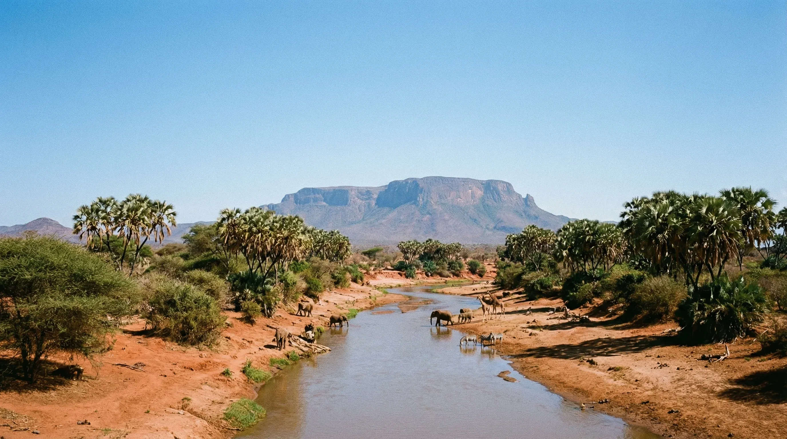 The Ewaso Ng'iro River lined with doum palms and acacia trees in Samburu National Reserve with mountains in the distance.
