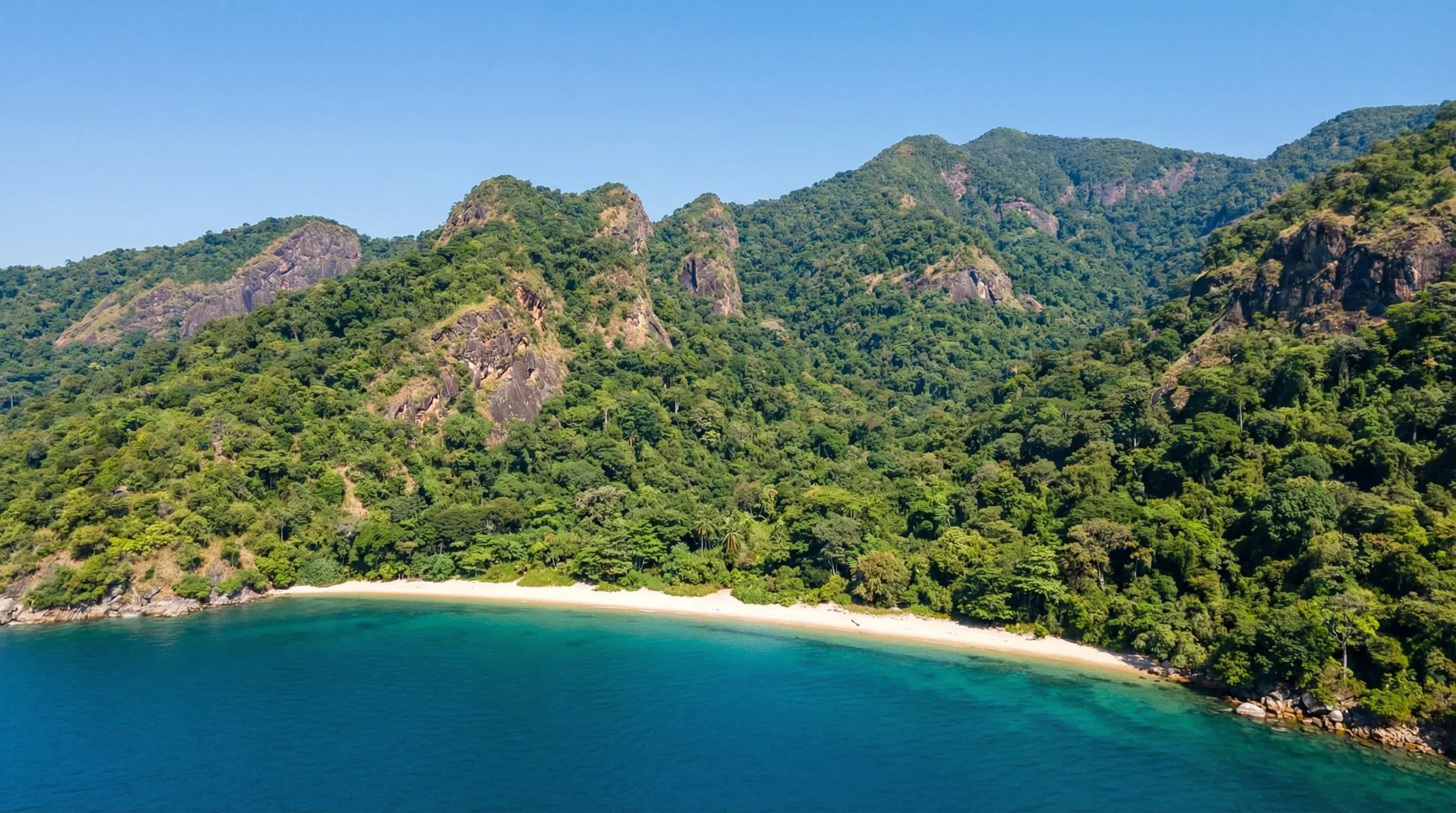 Lake Tanganyika coastline at Mahale Mountains National Park with forested mountains meeting the water.