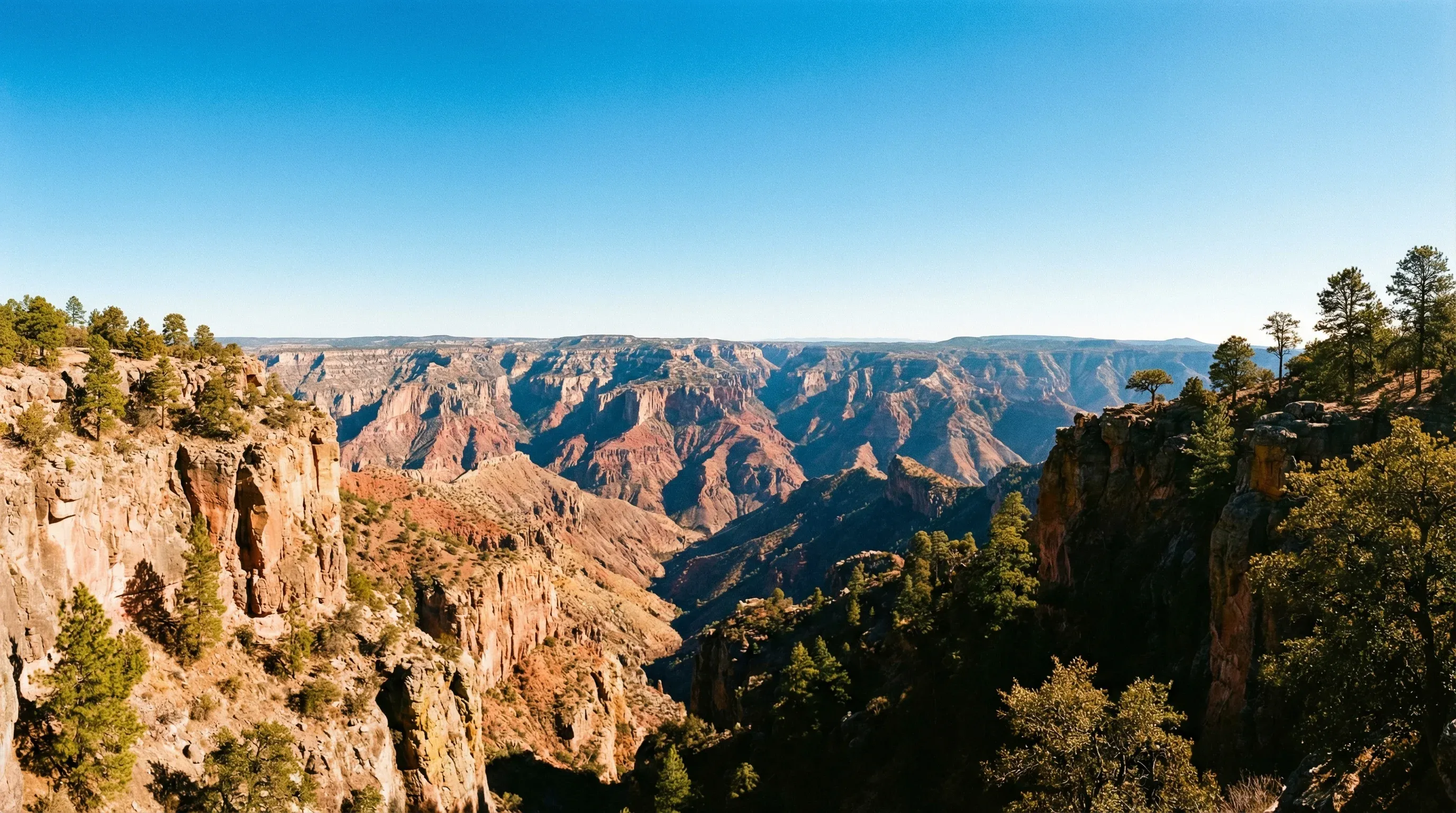 A vast landscape of deep, copper-colored canyons and rugged cliffs under a bright midday sun in Chihuahua.