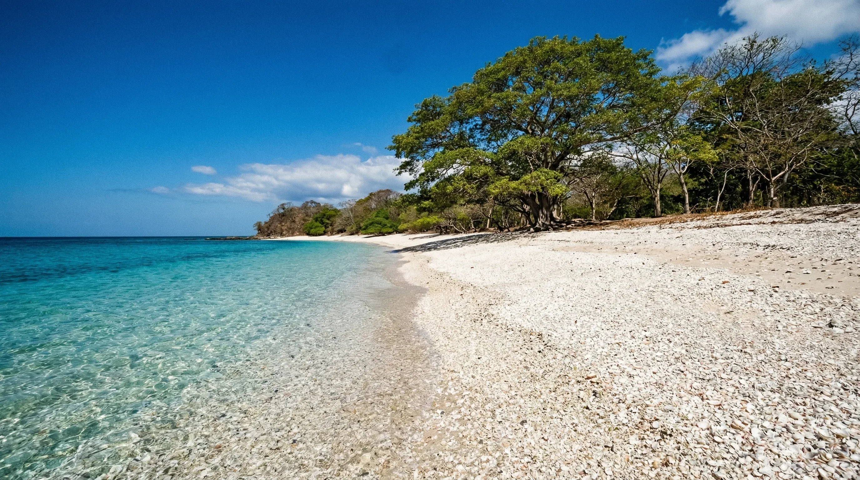 The white shell beach and clear turquoise water of Playa Conchal in Guanacaste under a bright midday sun.