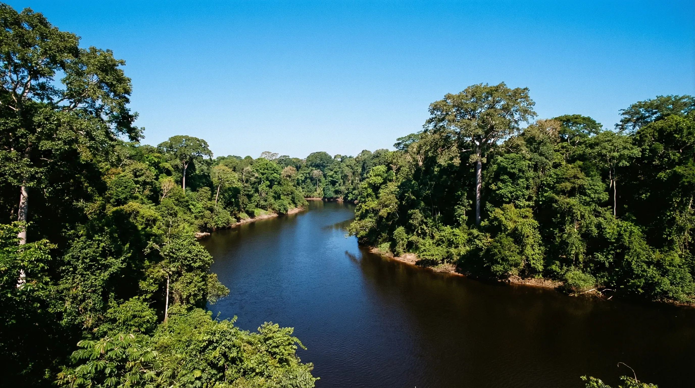 A wide river winds through a dense green tropical rainforest under a clear blue sky in the Suriname interior.