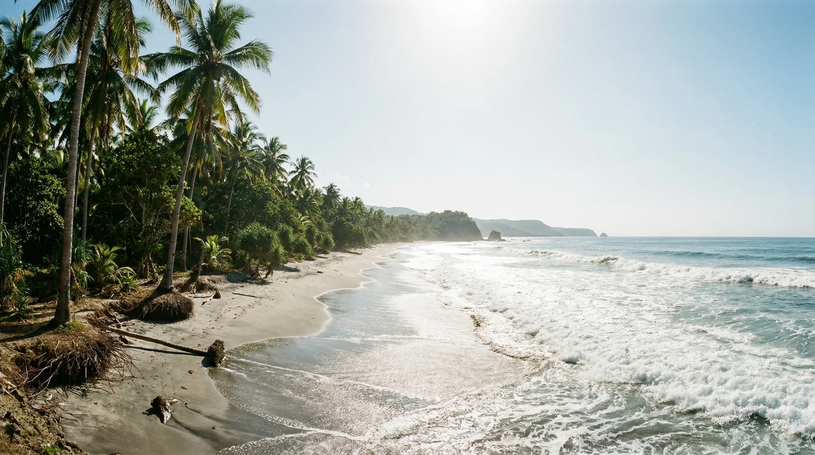 A long, natural beach with grey sand and green forest borders the powerful waves of the Timor Sea on the south coast.