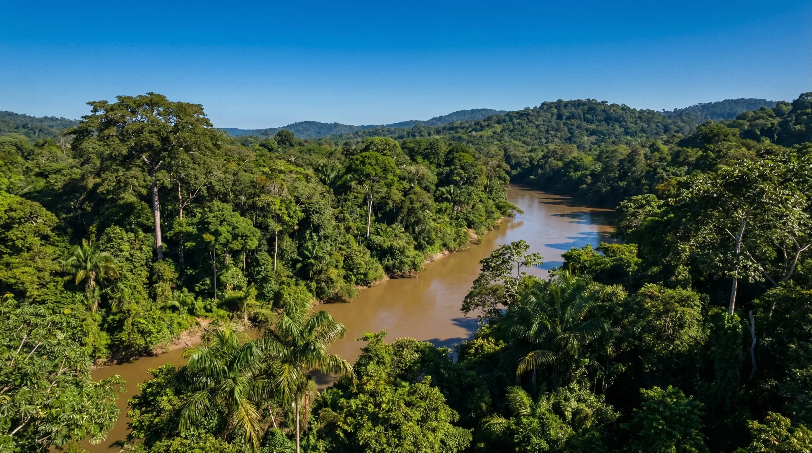 Aerial view of a wide brown river snaking through a vast green tropical rainforest under a clear blue sky.