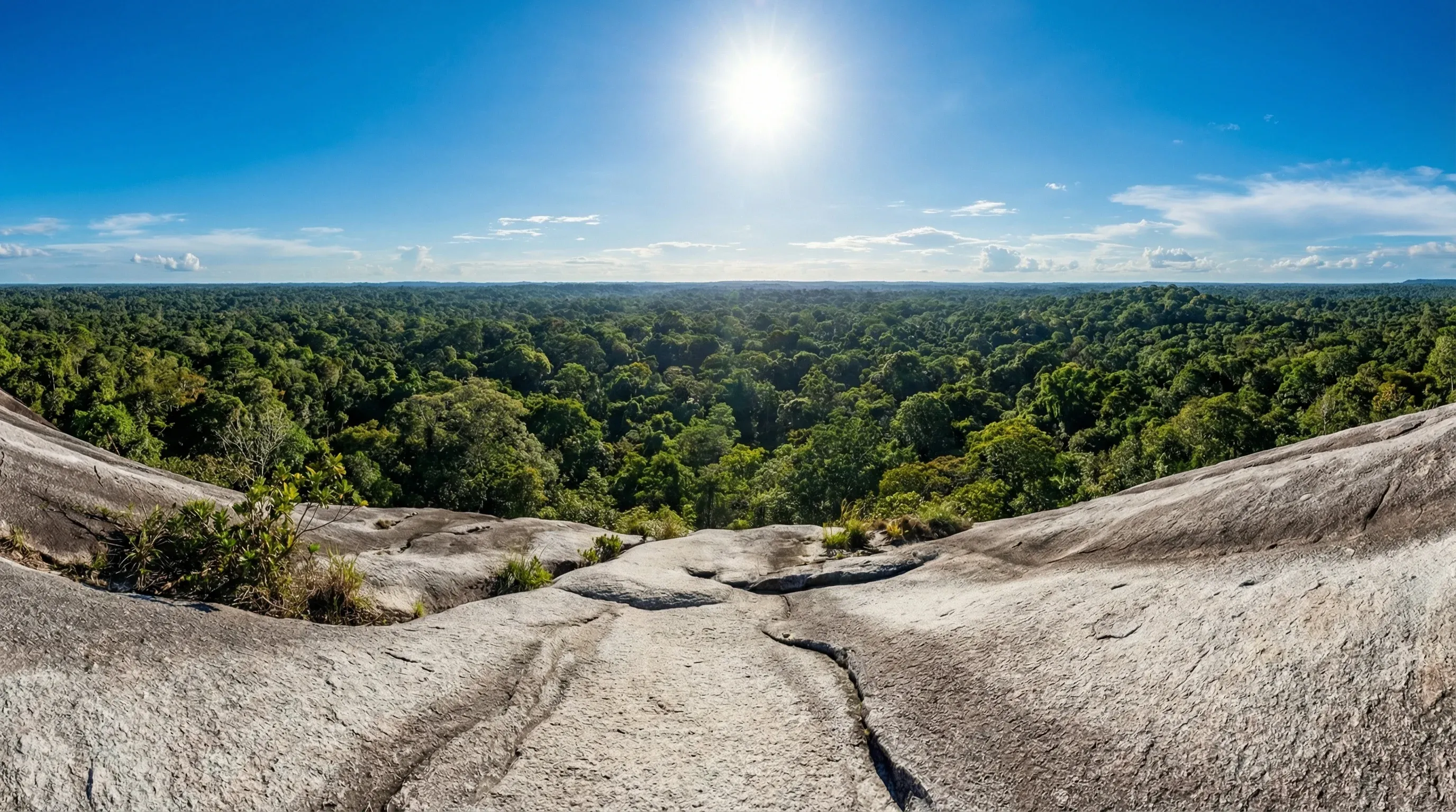 View from the grey granite summit of Voltzberg overlooking a vast expanse of green rainforest canopy in Suriname.