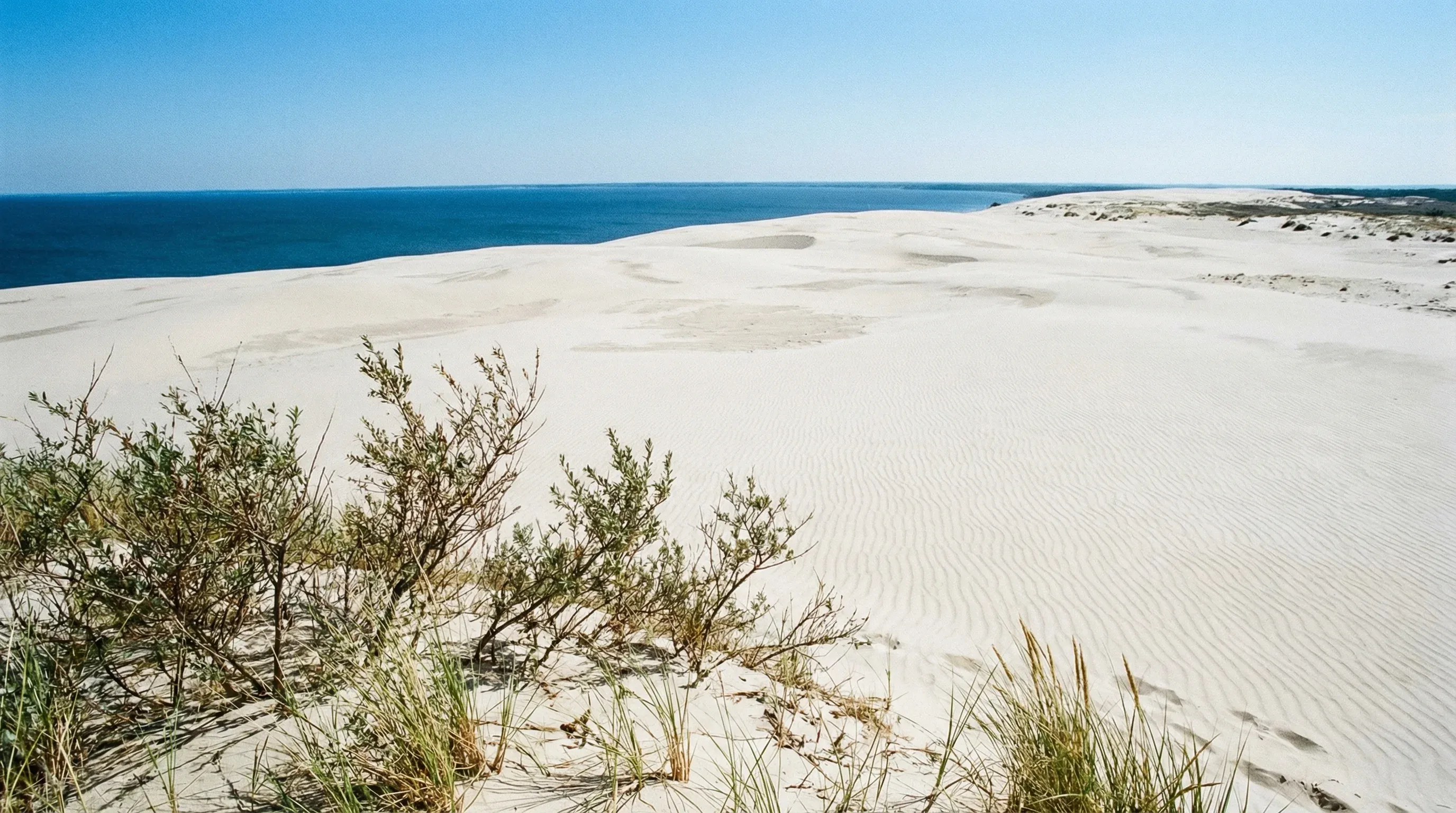 A view from Parnidis Dune in Nida, showing the large sand dunes of the Curonian Spit and the lagoon under bright sunlight.