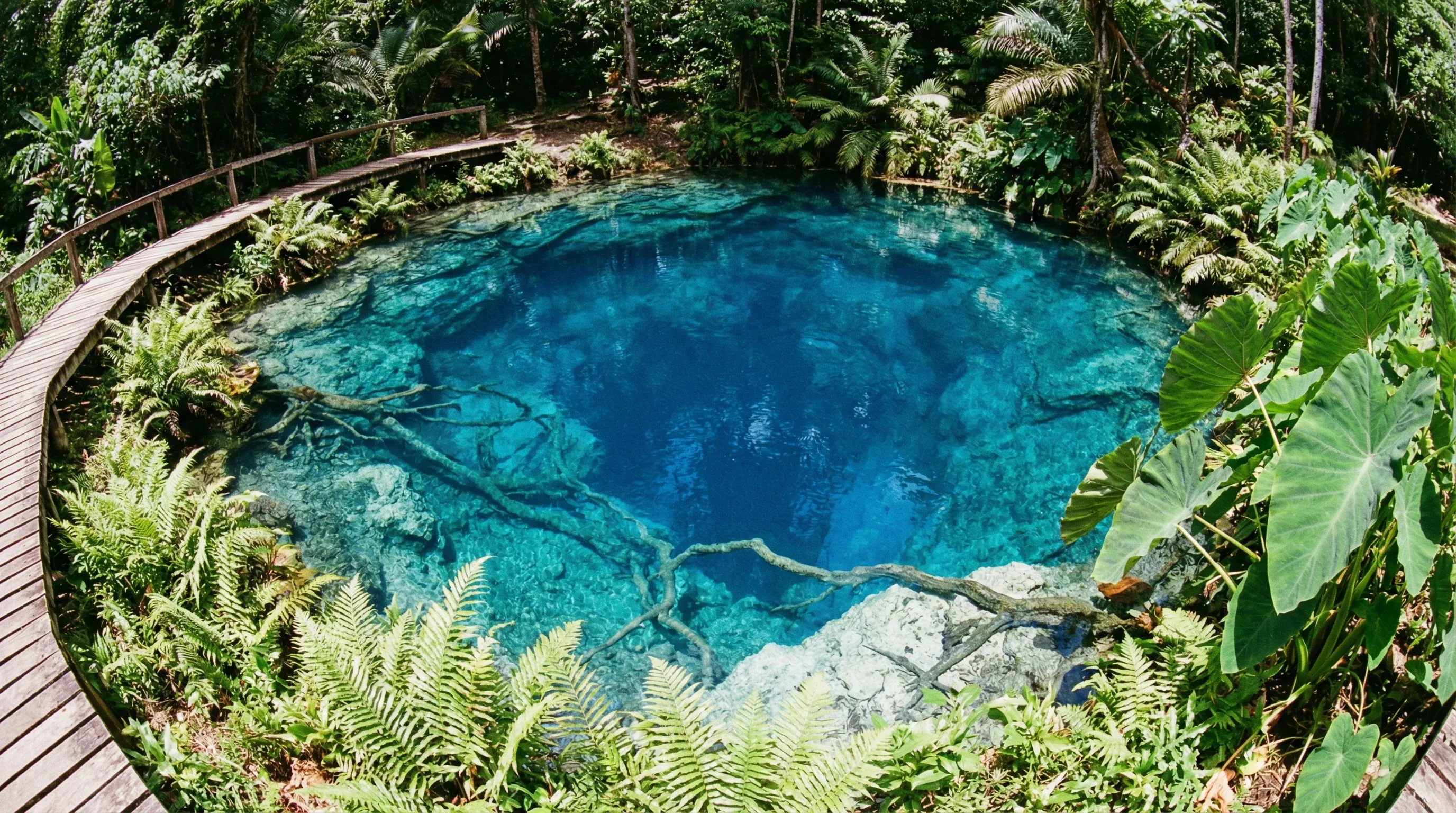 A crystal-clear sapphire blue natural freshwater spring surrounded by dense tropical forest on Espiritu Santo.