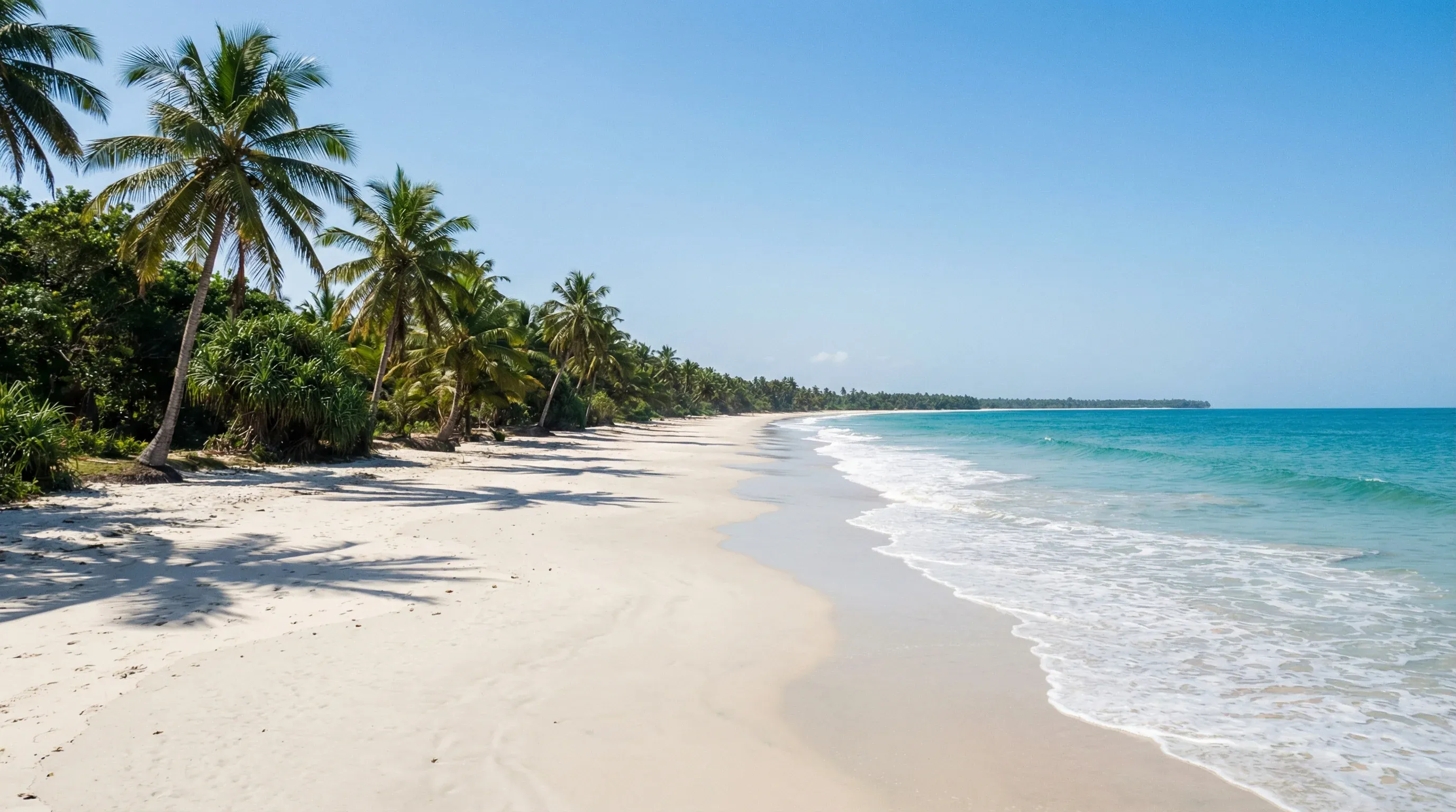 A wide white sand beach at Cap Skirring in Casamance, Senegal, lined with tropical palm trees under a bright blue sky.