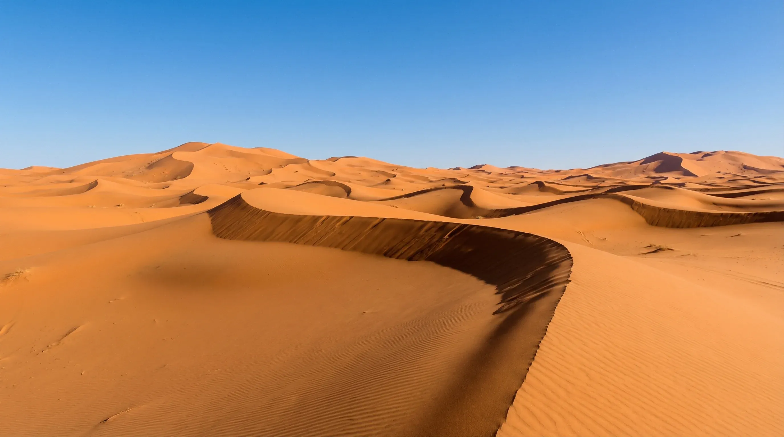 Vast, rolling orange sand dunes of the Sahara Desert at Erg Chebbi under a clear blue sky during the day.