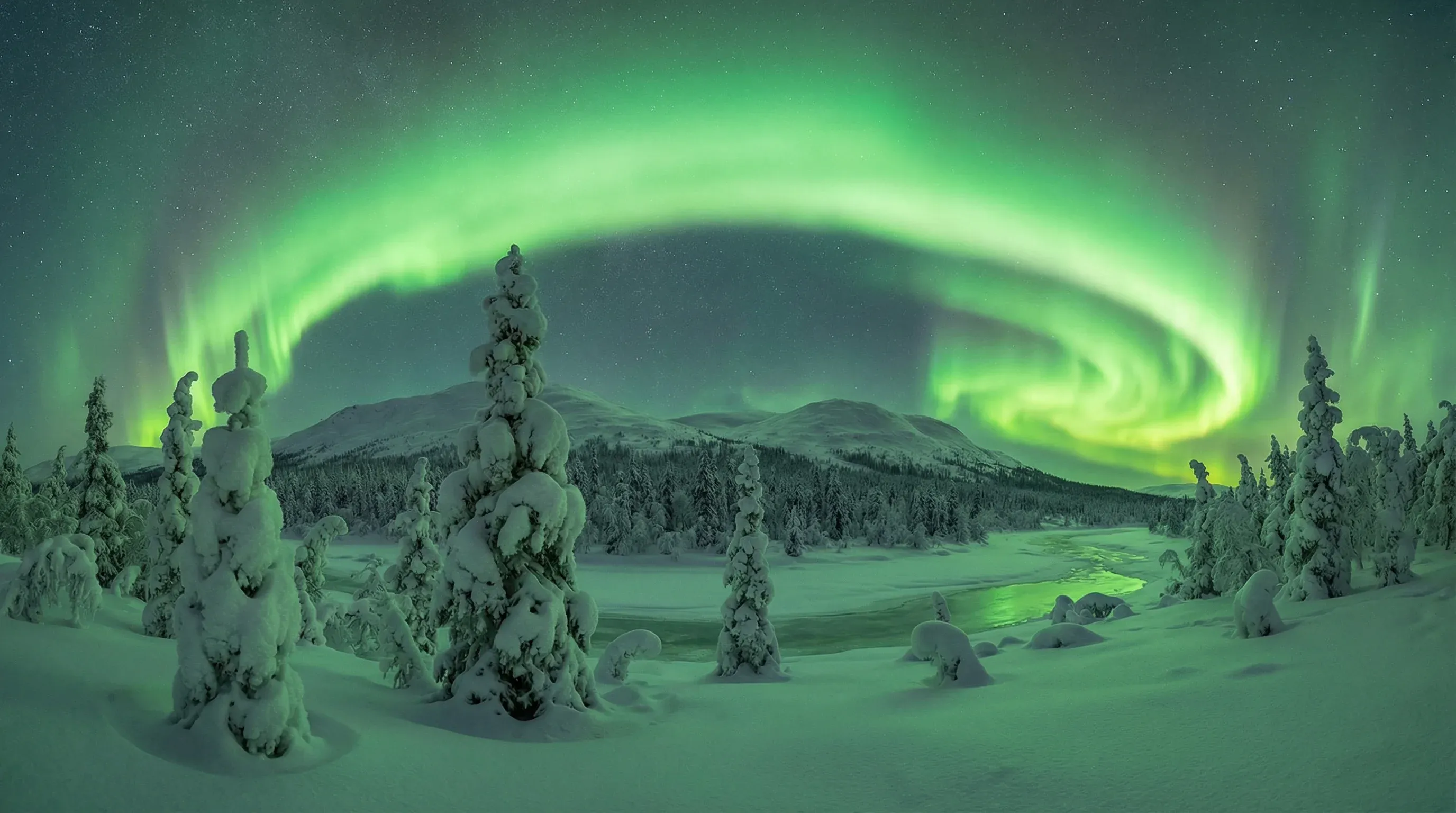 Bright green Northern Lights arc across a starry night sky above a snowy arctic landscape with ice-covered trees.