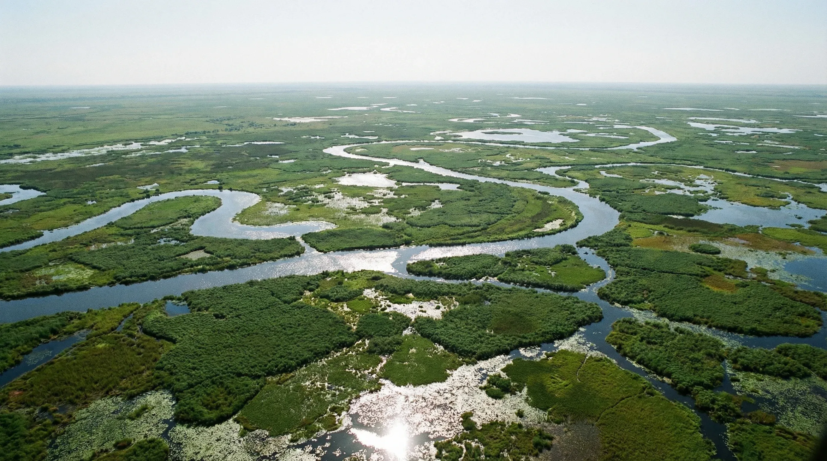 An aerial view of the Sudd Wetlands in South Sudan, showing river channels winding through dense green papyrus marshes.