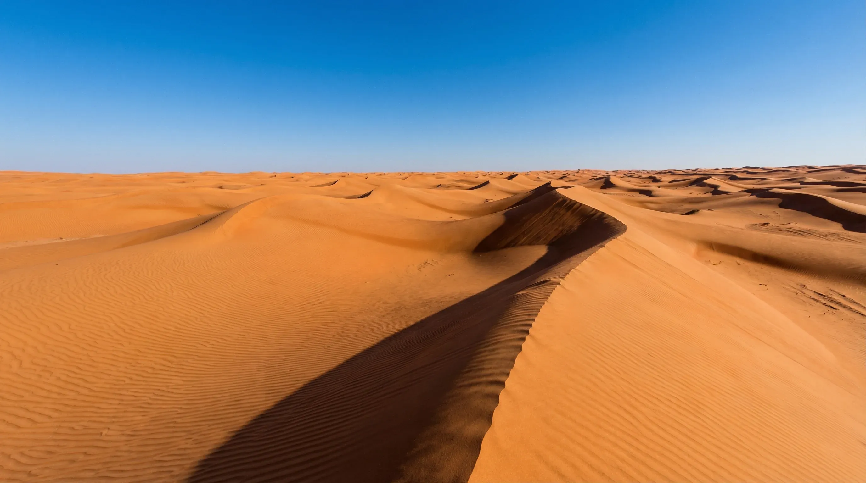 Large orange sand dunes with wind-rippled surfaces under a clear blue sky in the Sharqiya Sands desert.