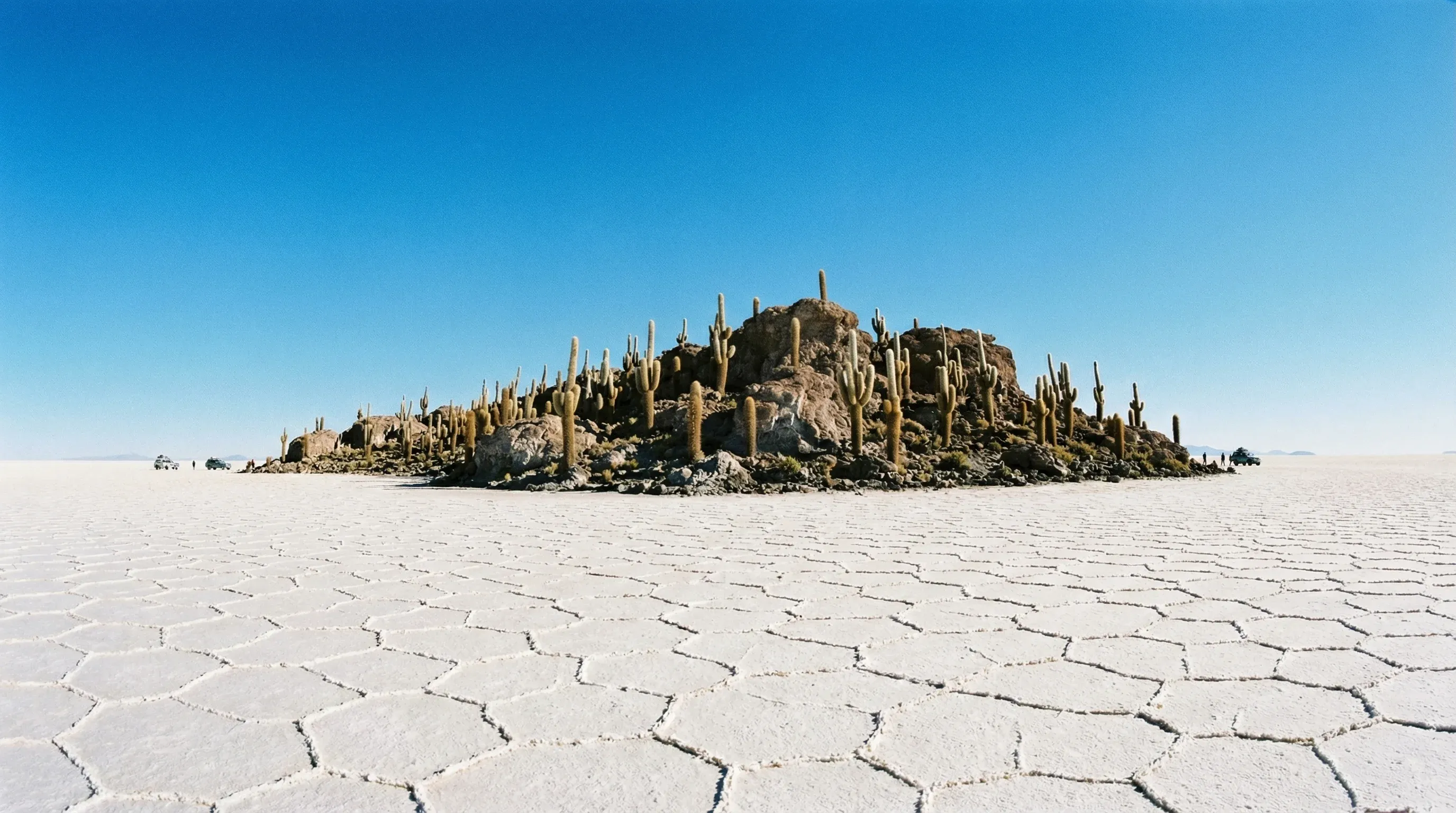 A rocky island covered in tall cacti surrounded by a vast, flat, white salt desert under a blue sky.