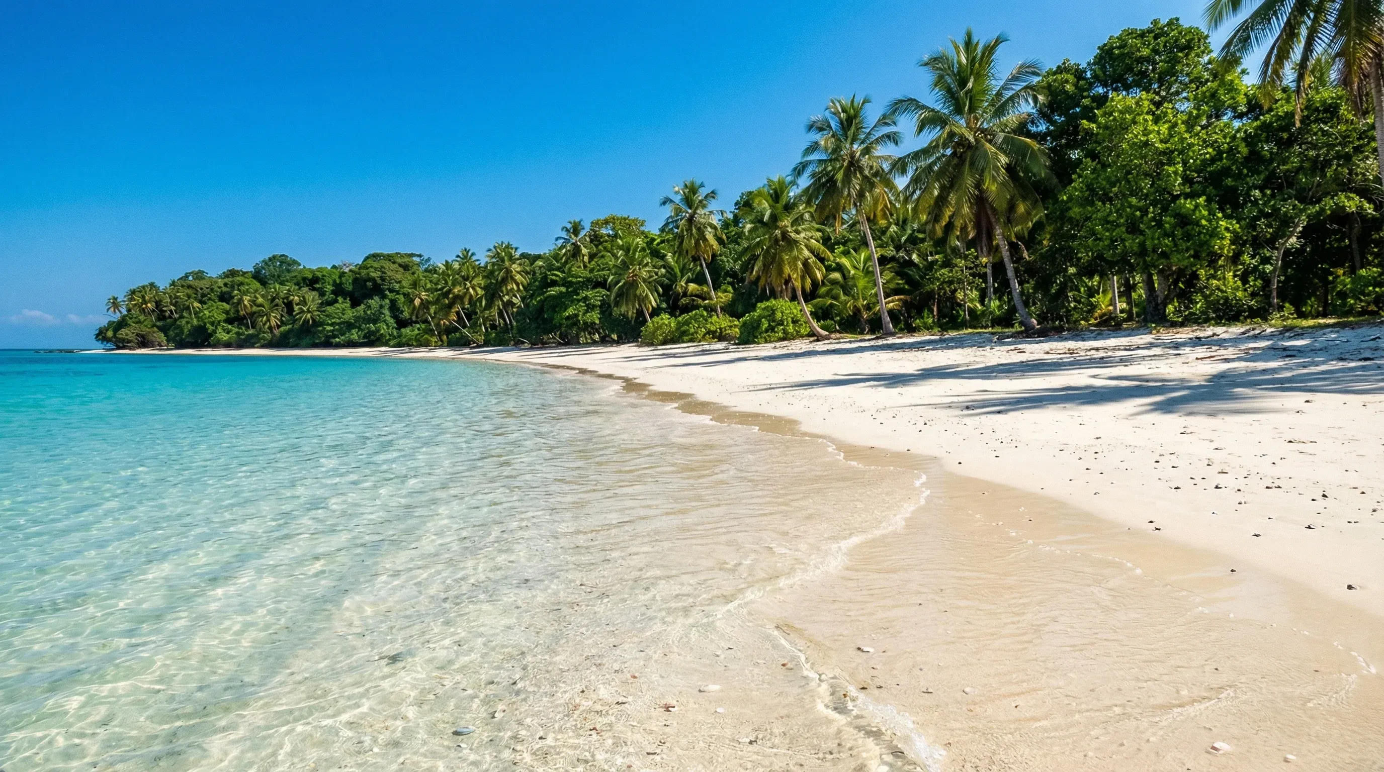 White sand beach and turquoise Atlantic waters at Roume Island in the Îles de Los, Guinea.