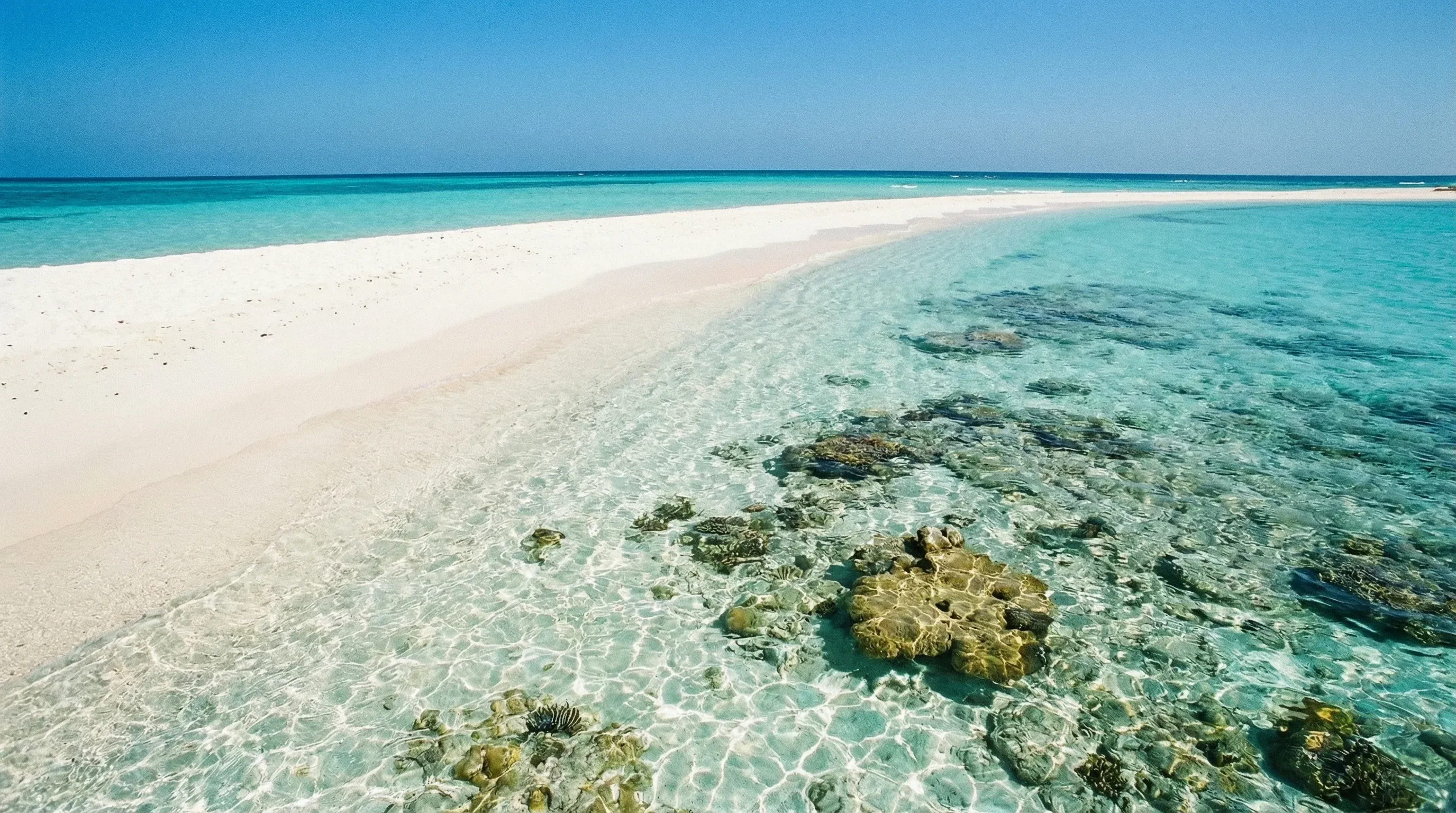 A narrow white sandbar separates two turquoise lagoons in the Caribbean Sea at Los Roques, Venezuela.