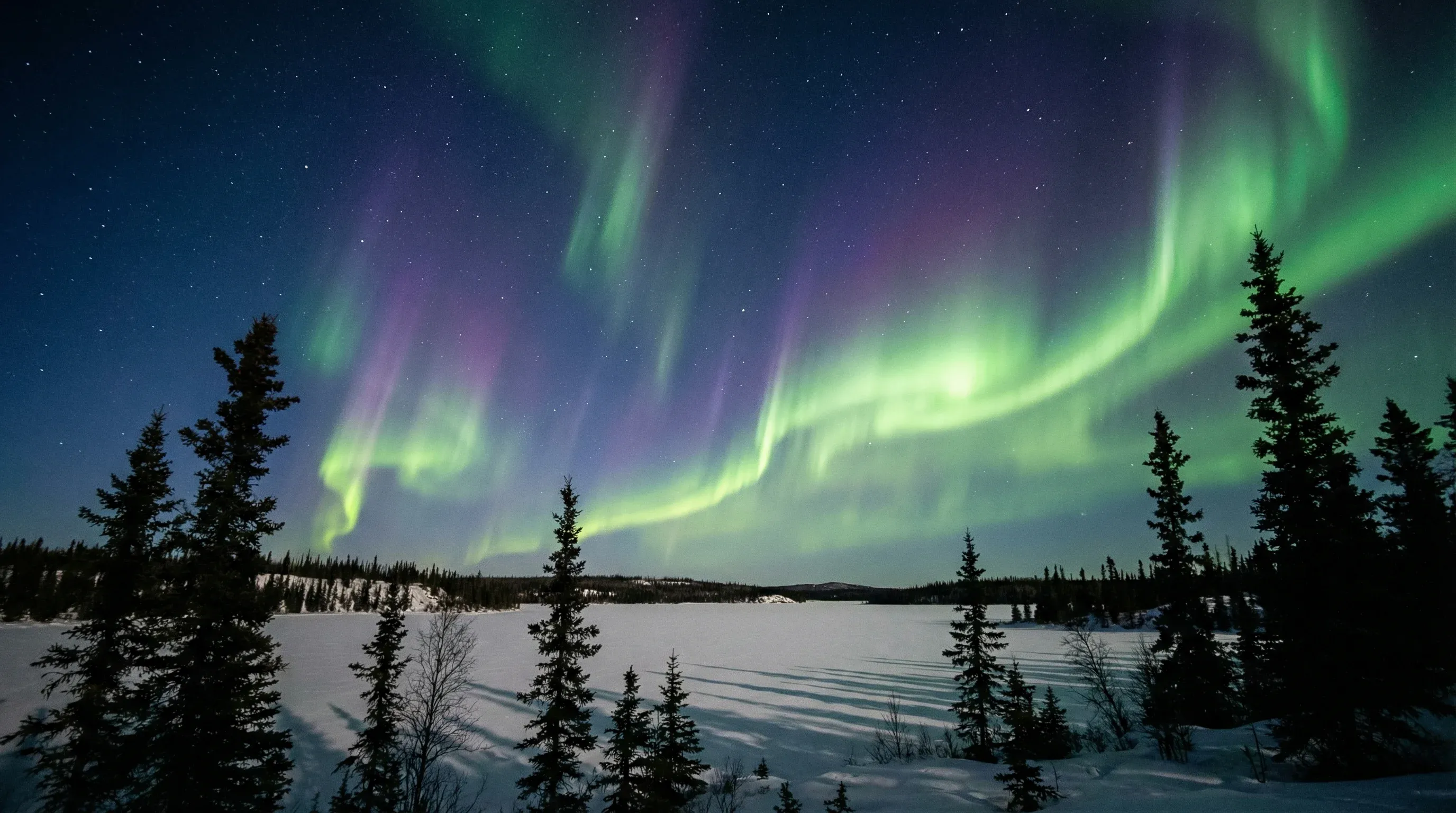 The green and purple Northern Lights streaking across the night sky over a snow-covered forest and frozen lake in the Northwest Territories.