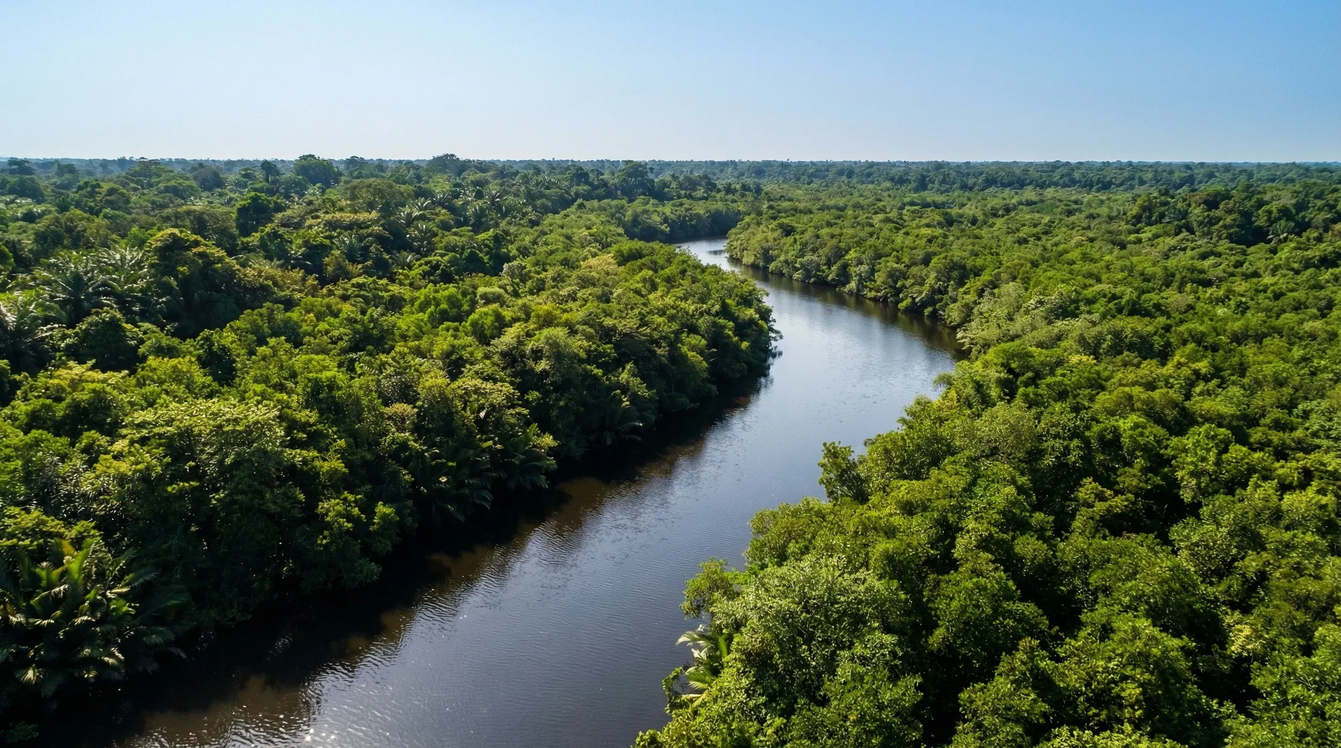 An aerial view of a winding river channel cutting through dense green mangrove forests in the Niger Delta.