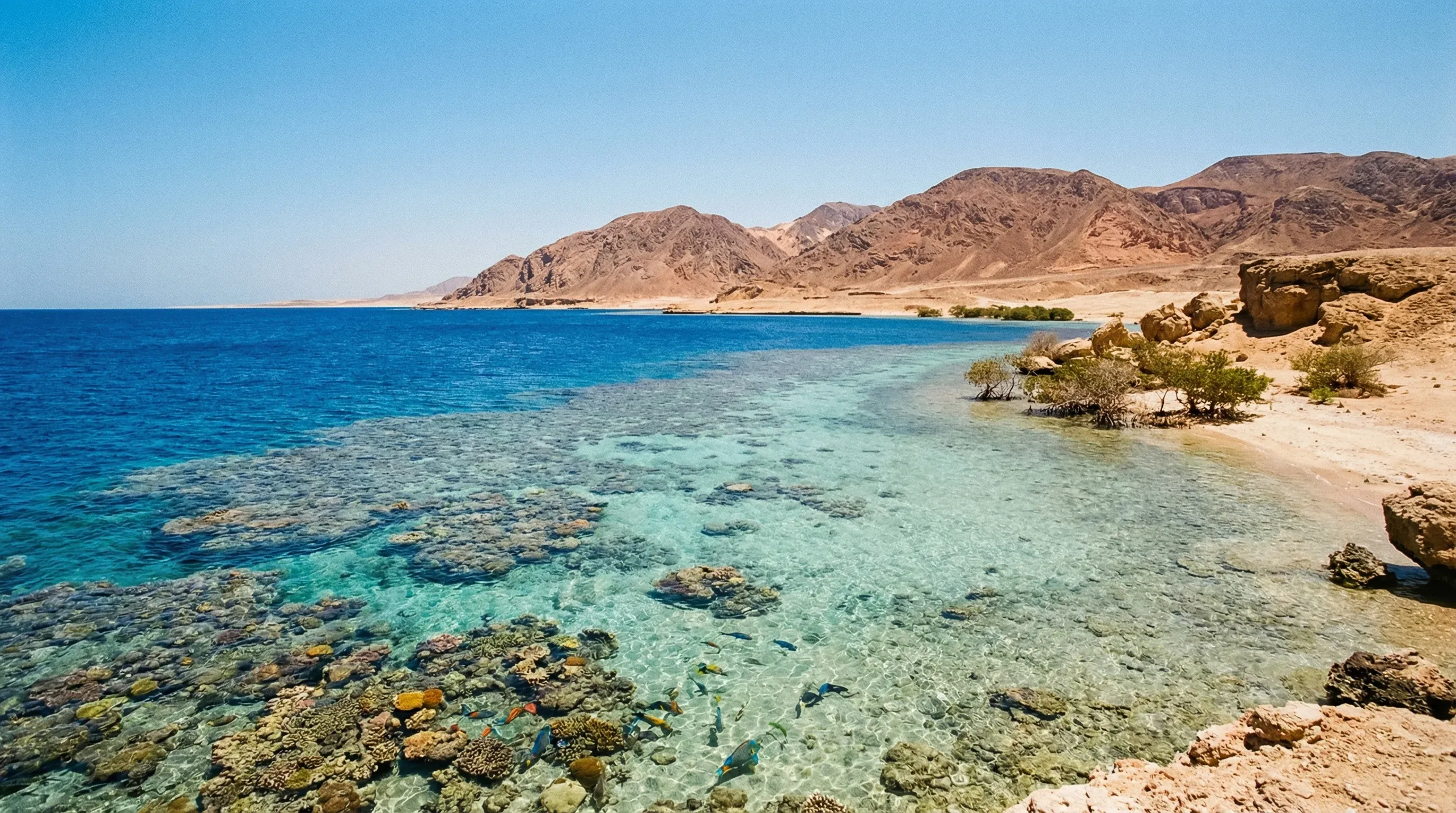 Turquoise Red Sea water and coral reefs with desert mountains in the background.