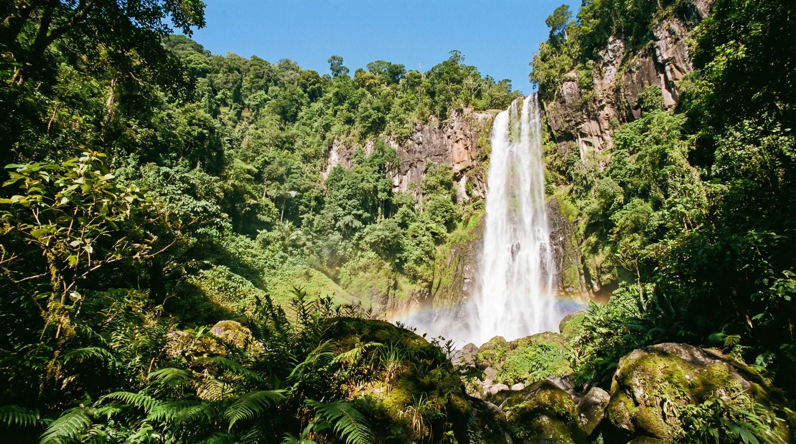 The tall Chute du Carbet waterfall cascading down a cliff face within the dense tropical rainforest of Basse-Terre, Guadeloupe.