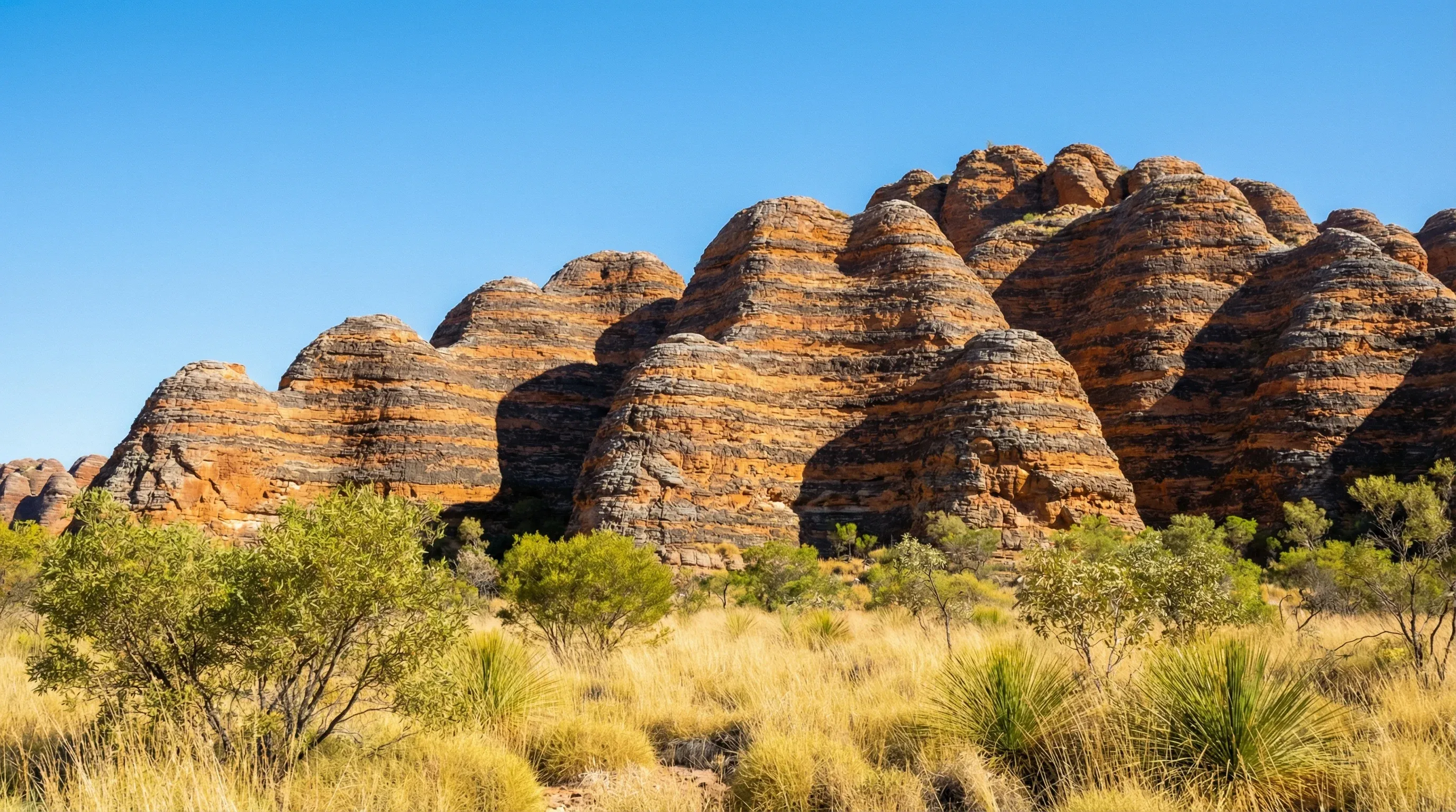 Striped orange and grey beehive-shaped sandstone domes of the Bungle Bungle Range in the Kimberley region.