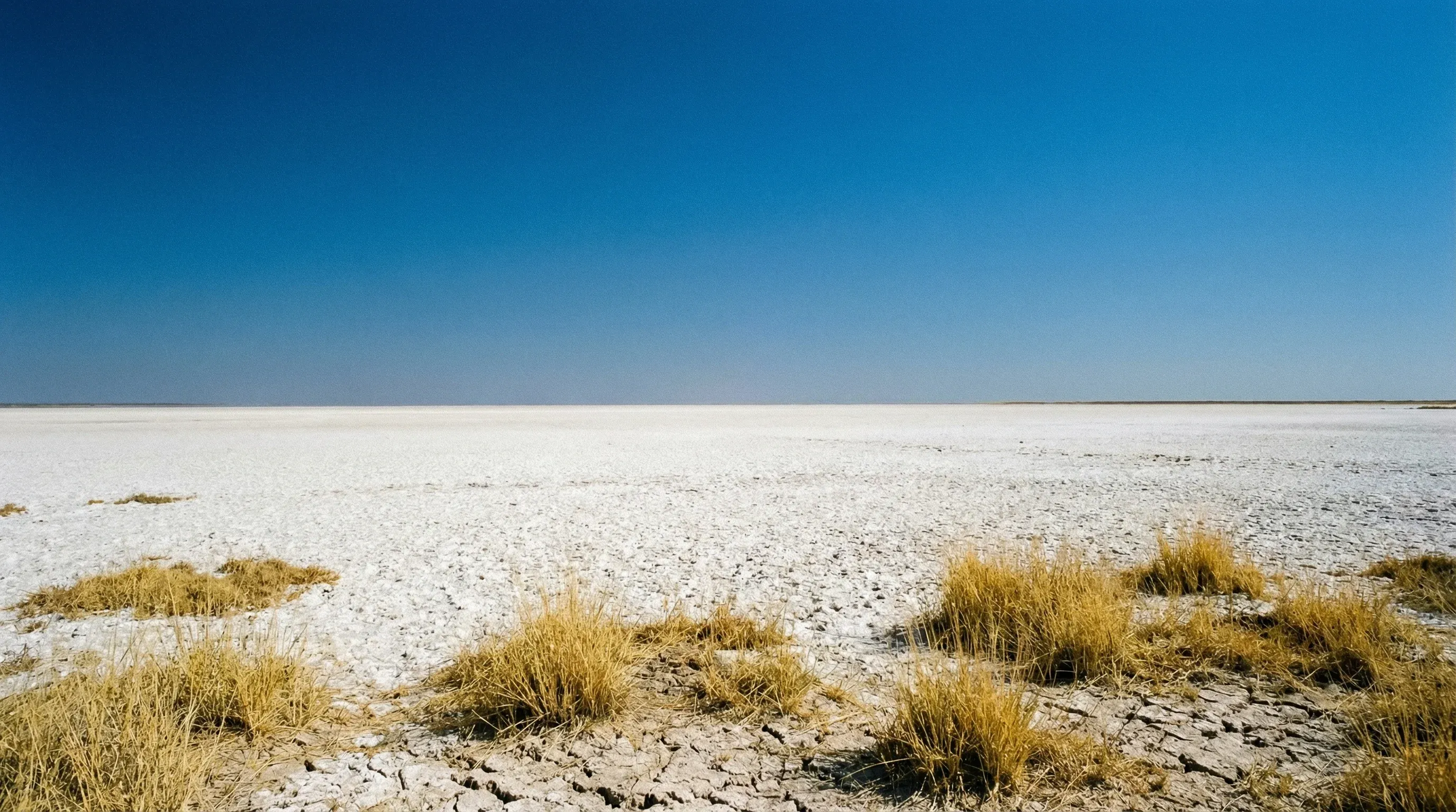 The vast white salt crust of the Etosha Pan stretching toward the horizon under a clear blue sky.
