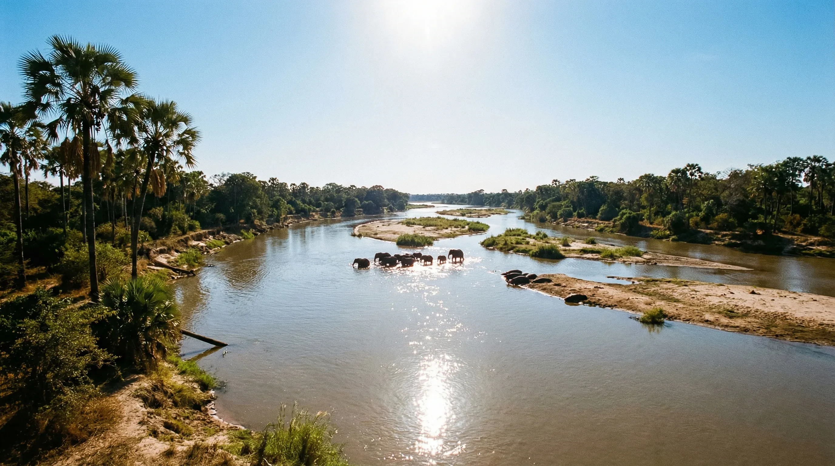 The Rufiji River winding through Nyerere National Park with palm trees lining the riverbanks.