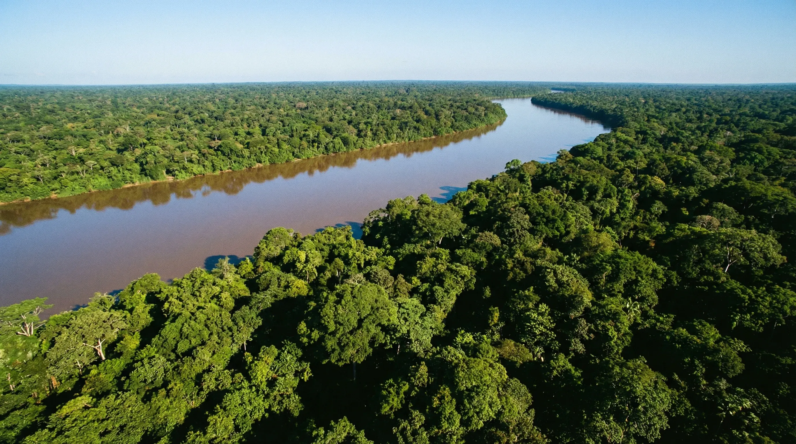 Aerial view of the brown Amazon River winding through a vast, dense green rainforest under a clear blue sky.