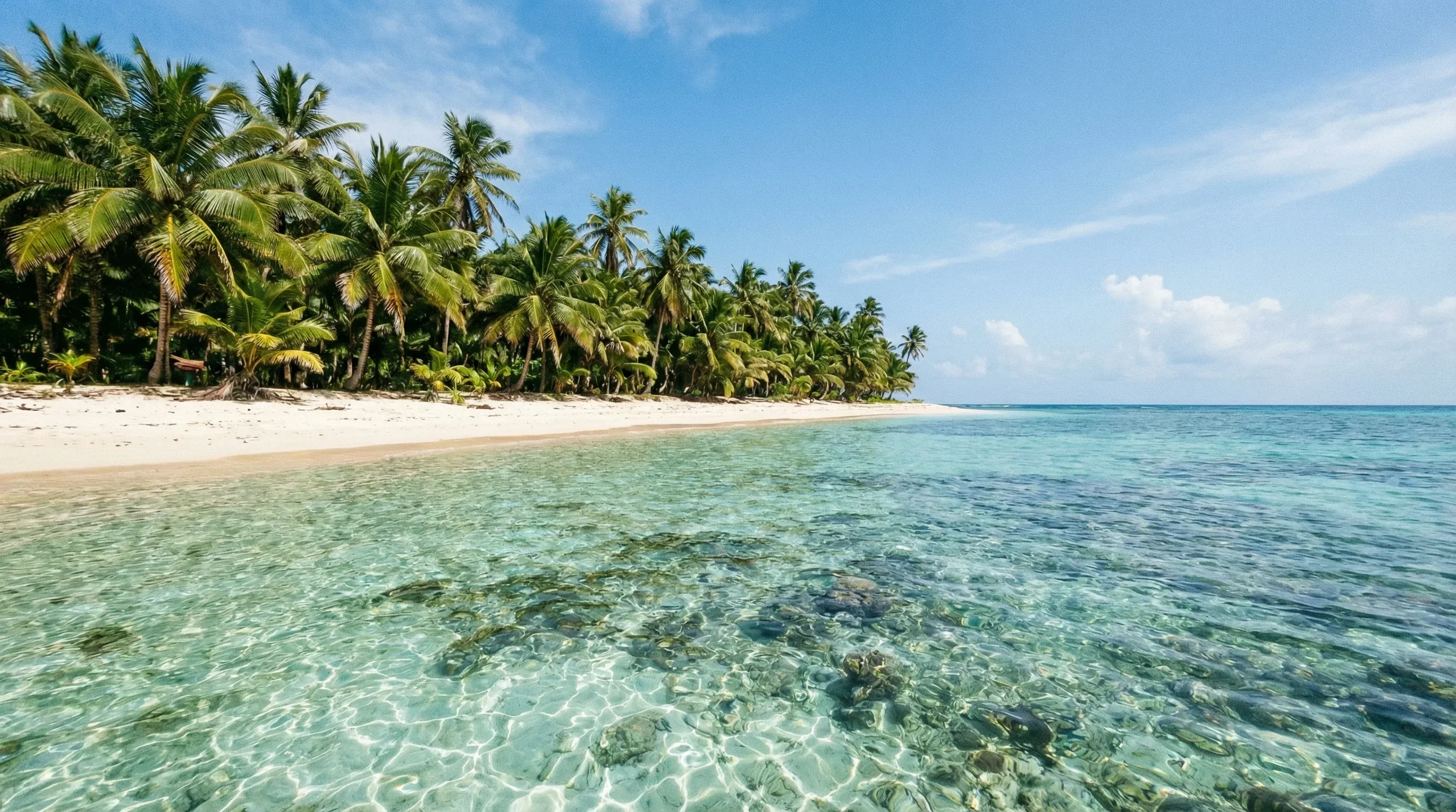 A white sand beach on Little Corn Island with turquoise Caribbean water and coconut palm trees under a clear blue sky.