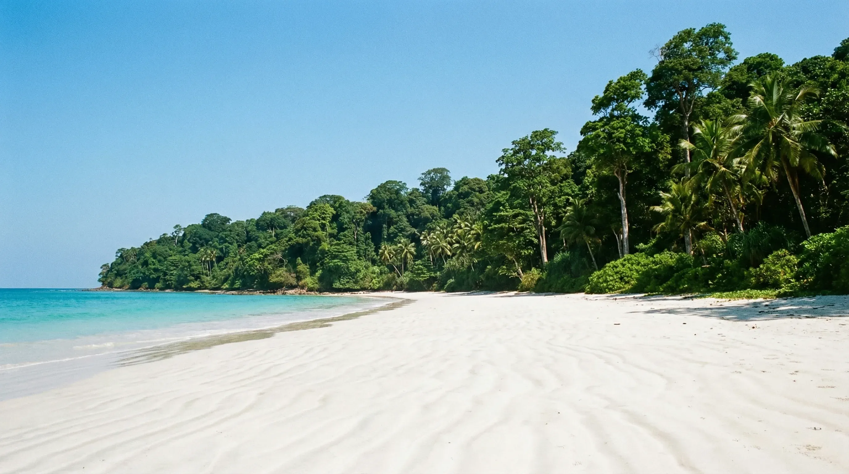 Radhanagar Beach in the Andaman Islands, featuring white sand, turquoise water, and tropical trees.