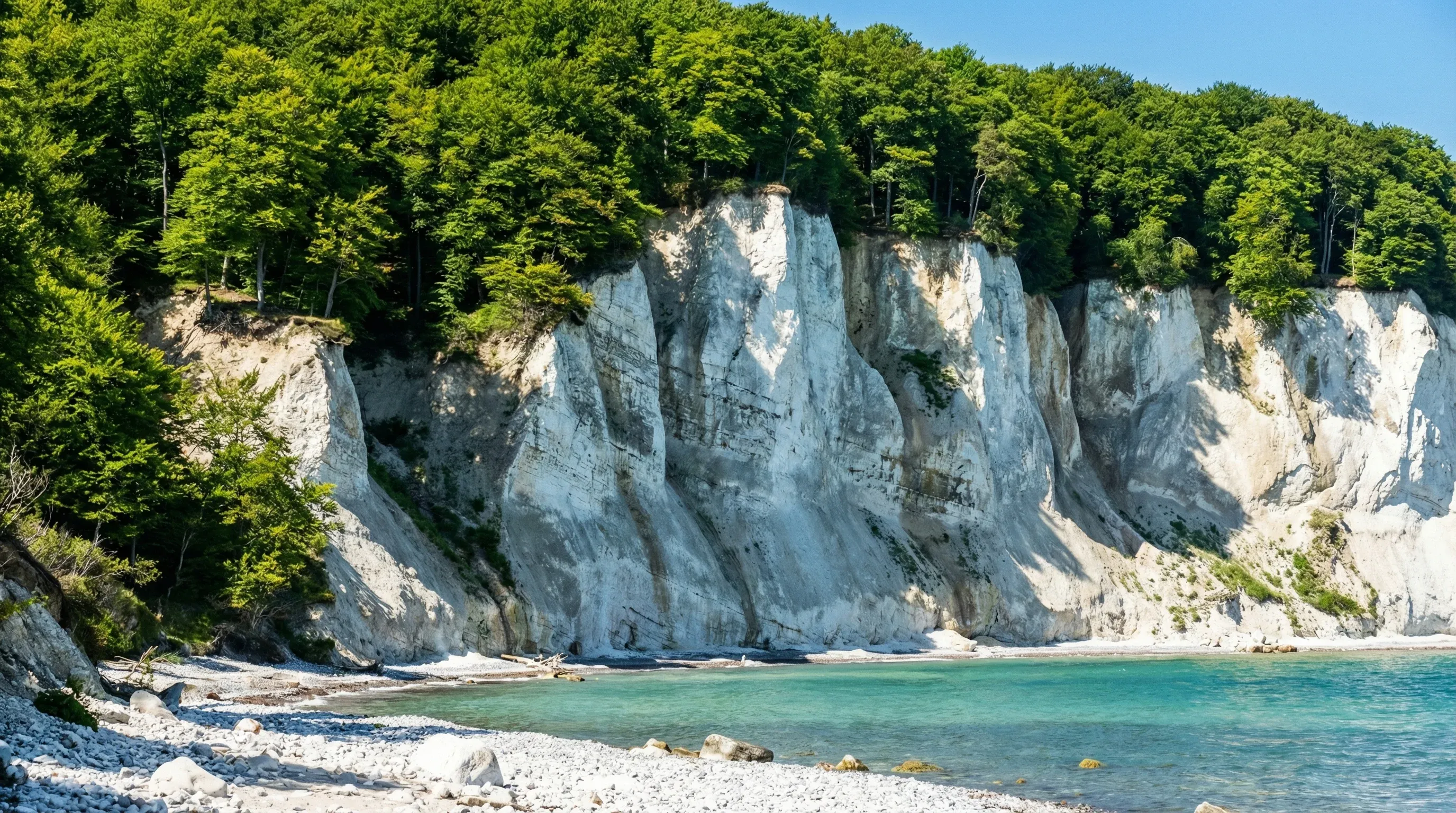 Sheer white chalk cliffs topped with green beech trees rising above the turquoise Baltic Sea on Møn.