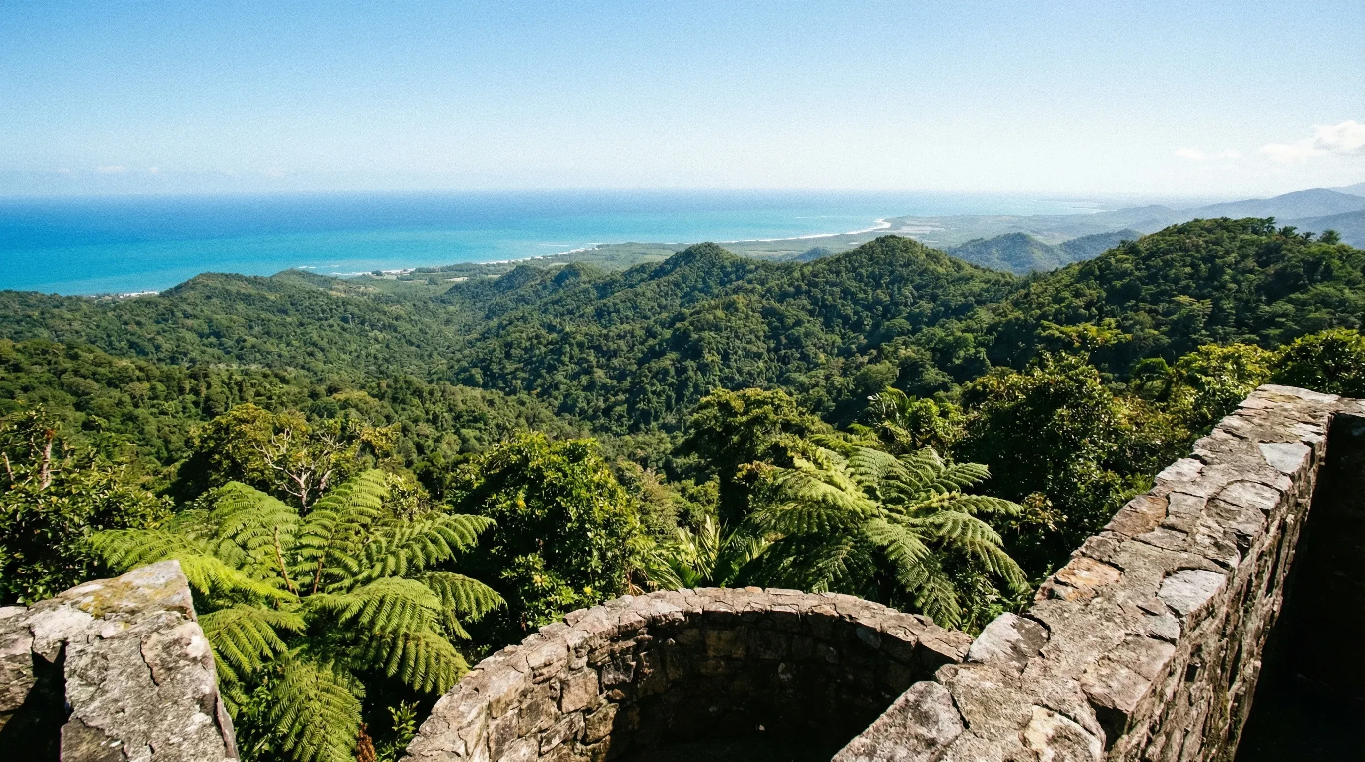 View from the Yokahú Observation Tower overlooking the dense green rainforest canopy of El Yunque towards the ocean under a clear sky.