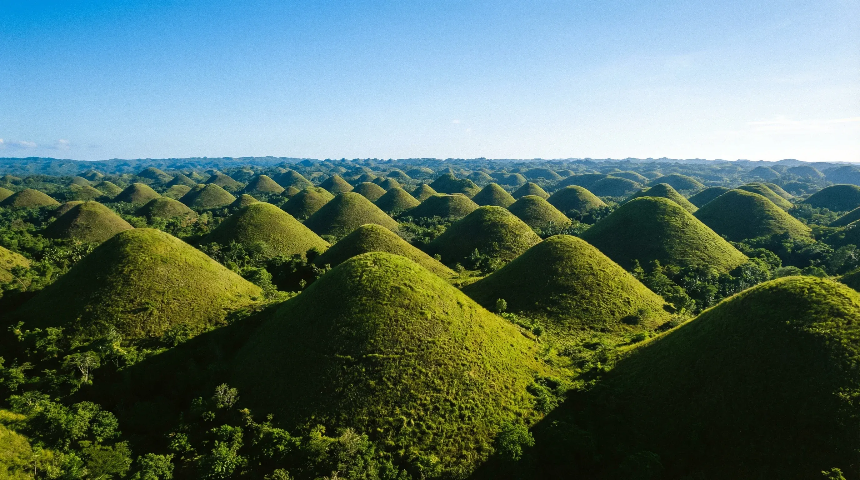 Elevated landscape view of the symmetrical, green conical mounds of the Chocolate Hills in Bohol under a clear blue sky.