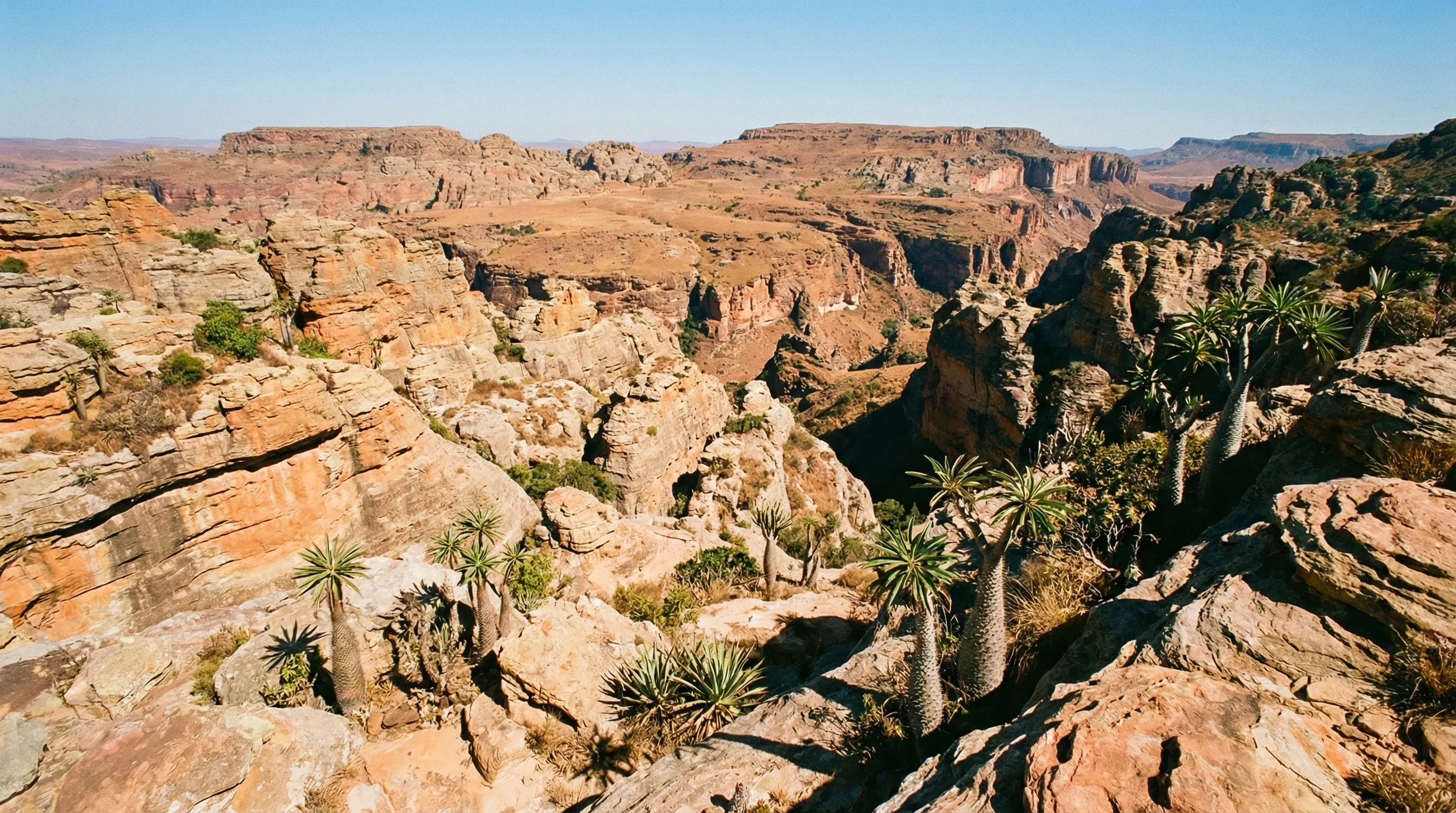 A wide landscape of eroded Jurassic-era sandstone rock formations and desert vegetation in Isalo National Park.