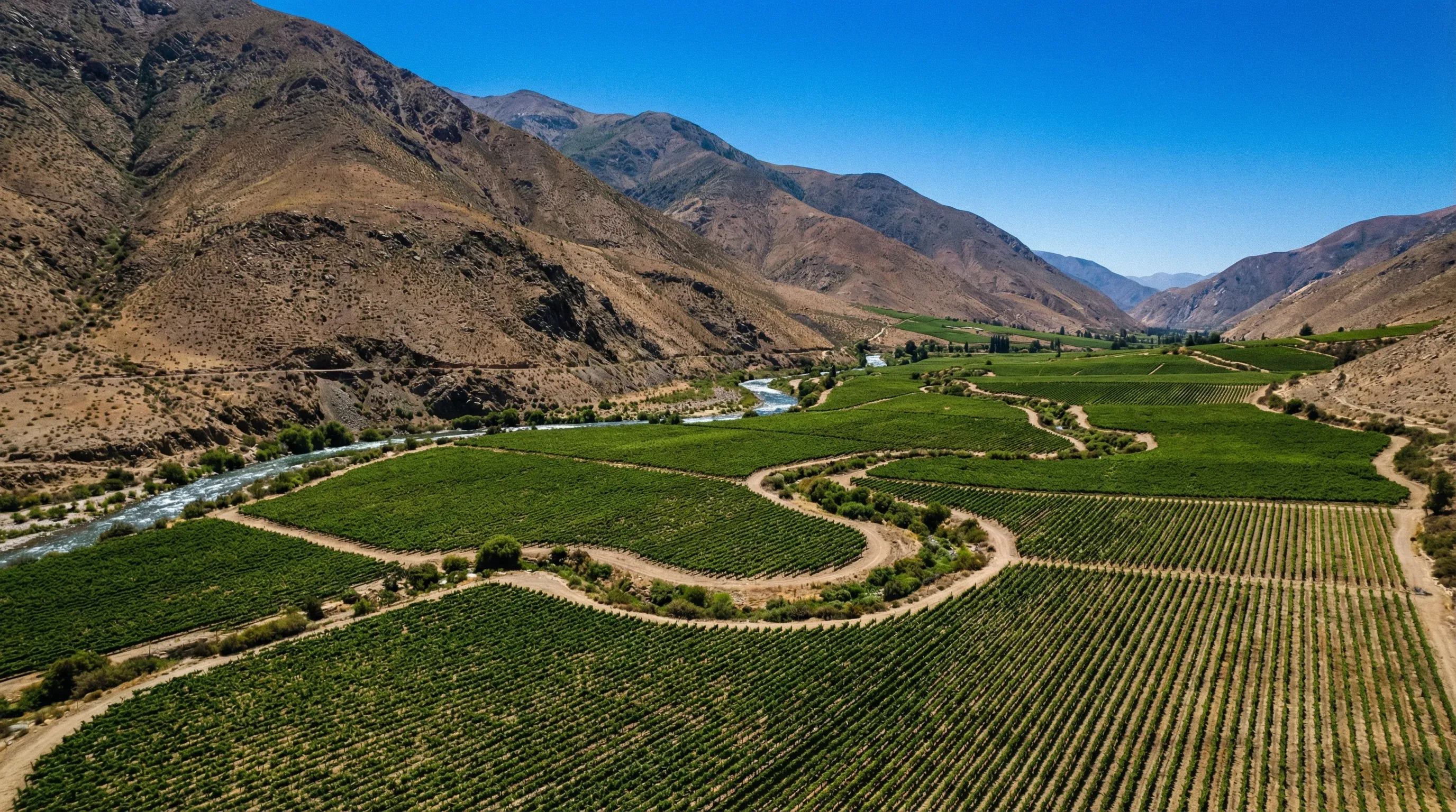 Aerial view of green vineyards in the arid Elqui Valley with brown mountains in the background.