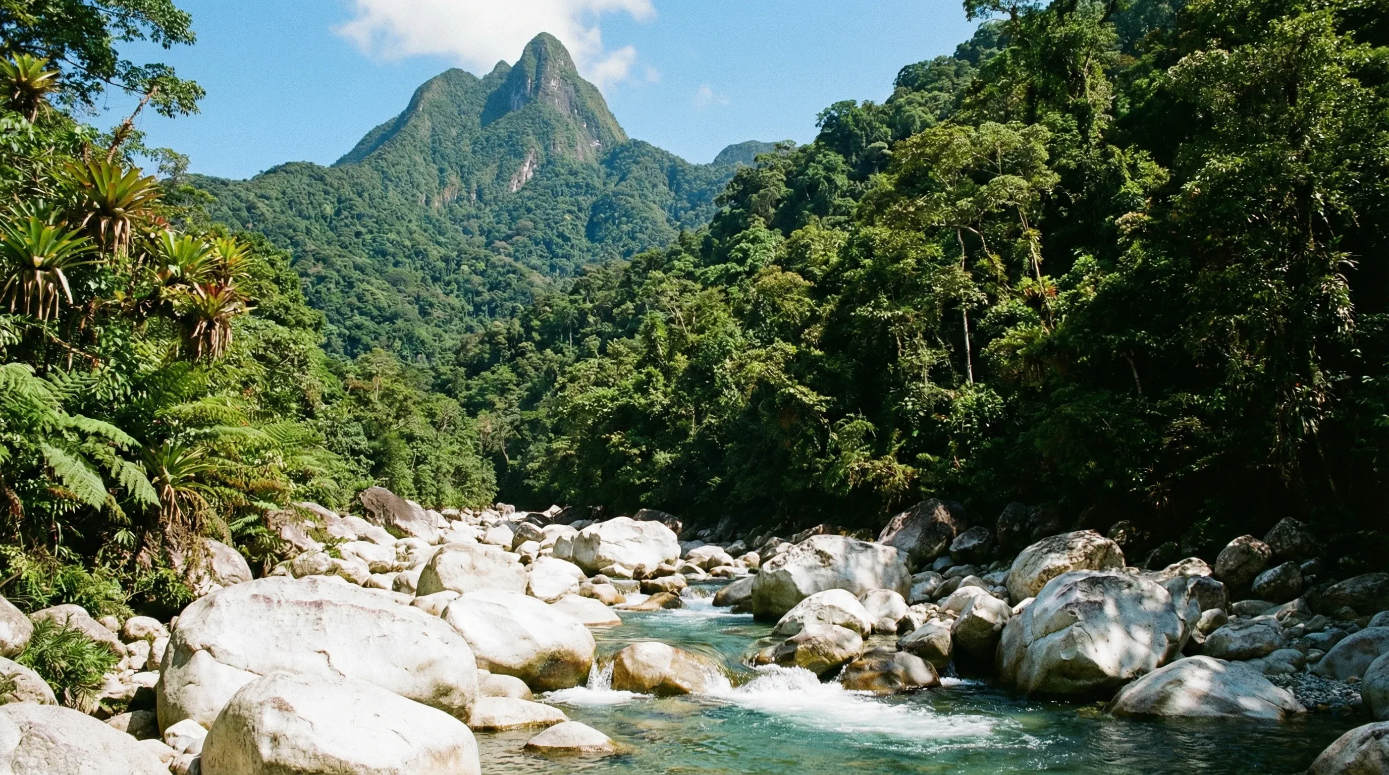 The Pico Bonito mountain peak rises above a lush green rainforest and a riverbed filled with large white boulders.