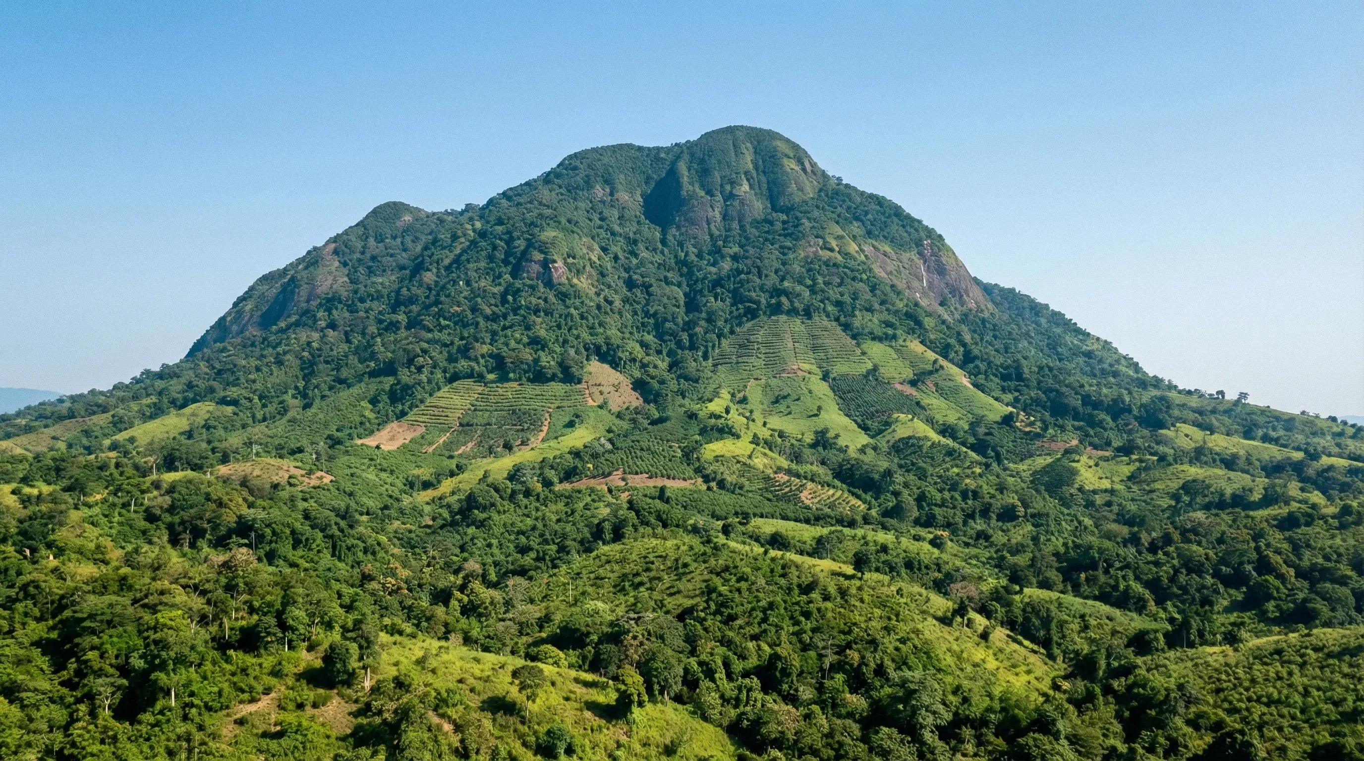 A view of the forested slopes of Mount Agou rising above the lush green landscape of the Plateaux region.