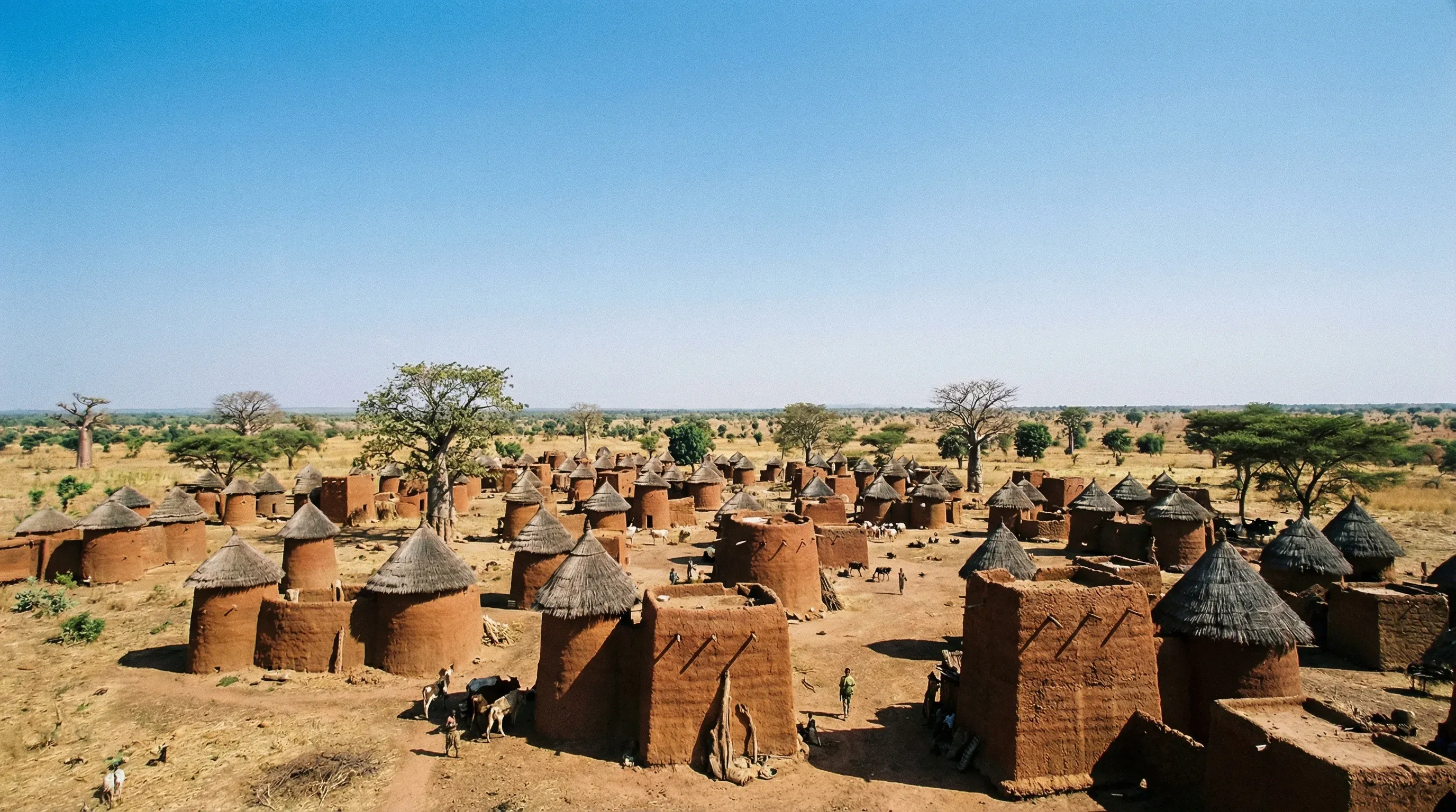 Traditional Takienta mud tower-houses with thatched roofs in the Koutammakou valley under a clear blue sky.