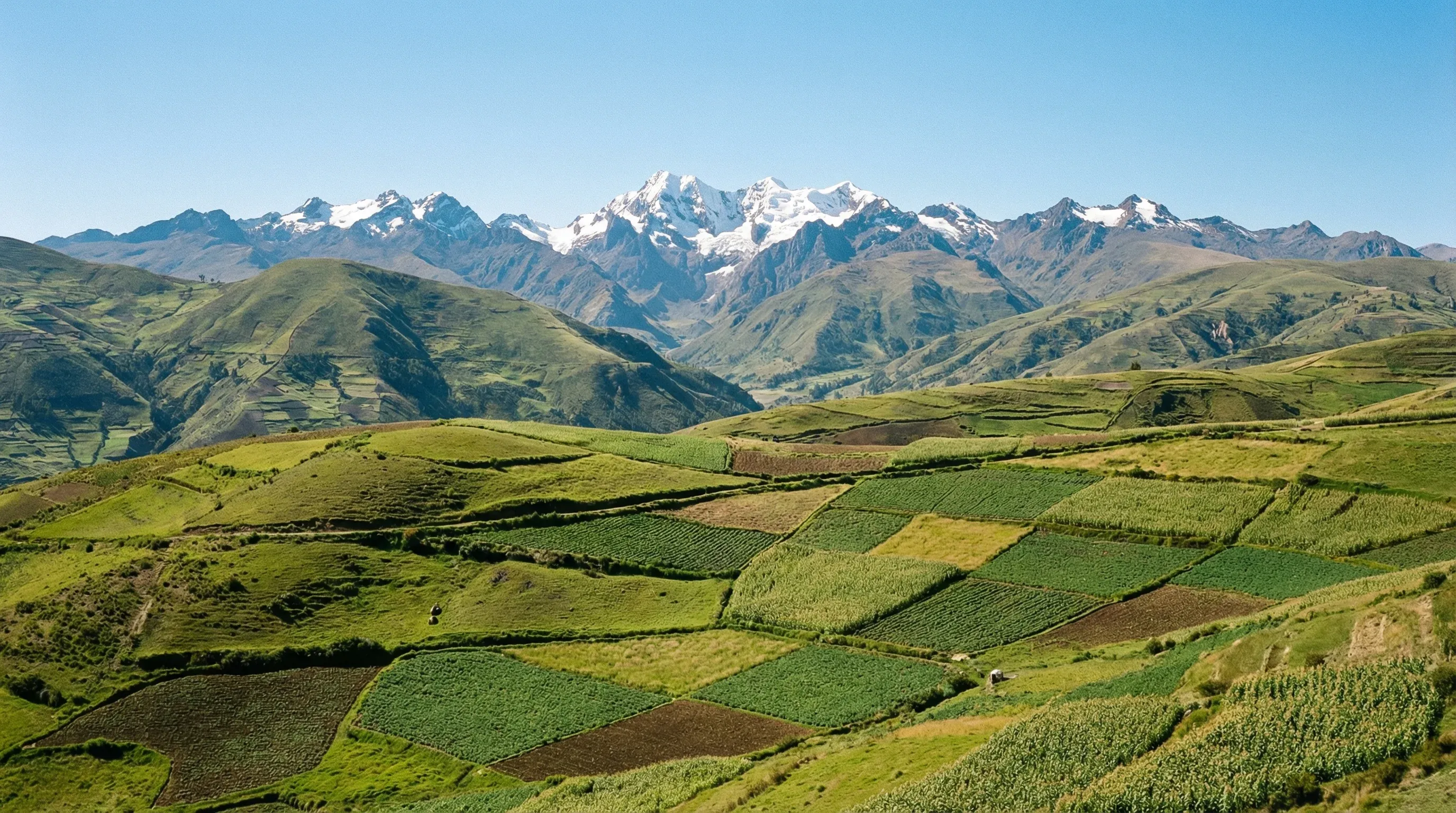 A wide valley in the Andes Mountains with green agricultural fields and rugged peaks under a bright sun.