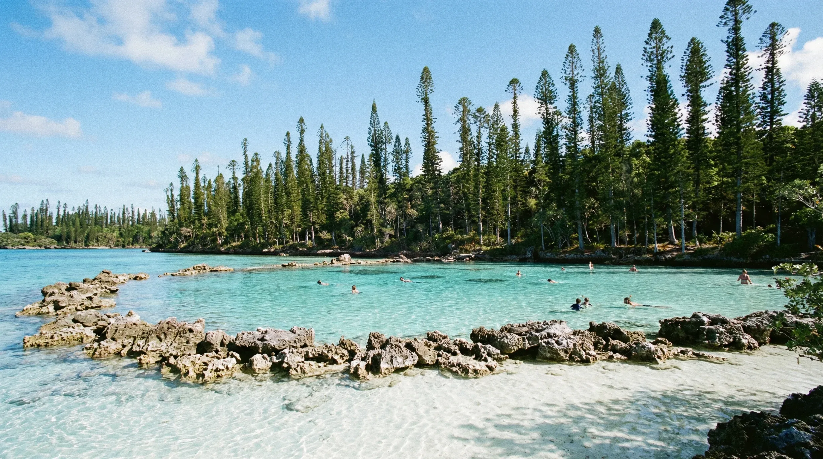 The natural turquoise swimming pool at Oro Bay on the Isle of Pines, surrounded by tall endemic columnar pine trees.