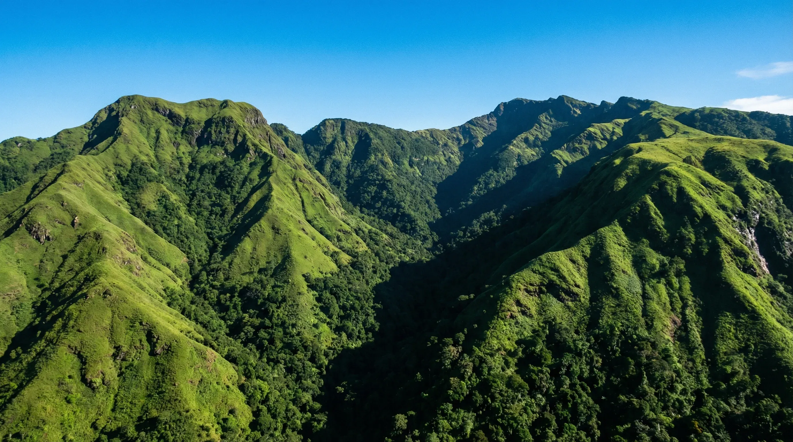 Steep green mountain ridges and high-altitude grasslands of the Mount Nimba Strict Nature Reserve.