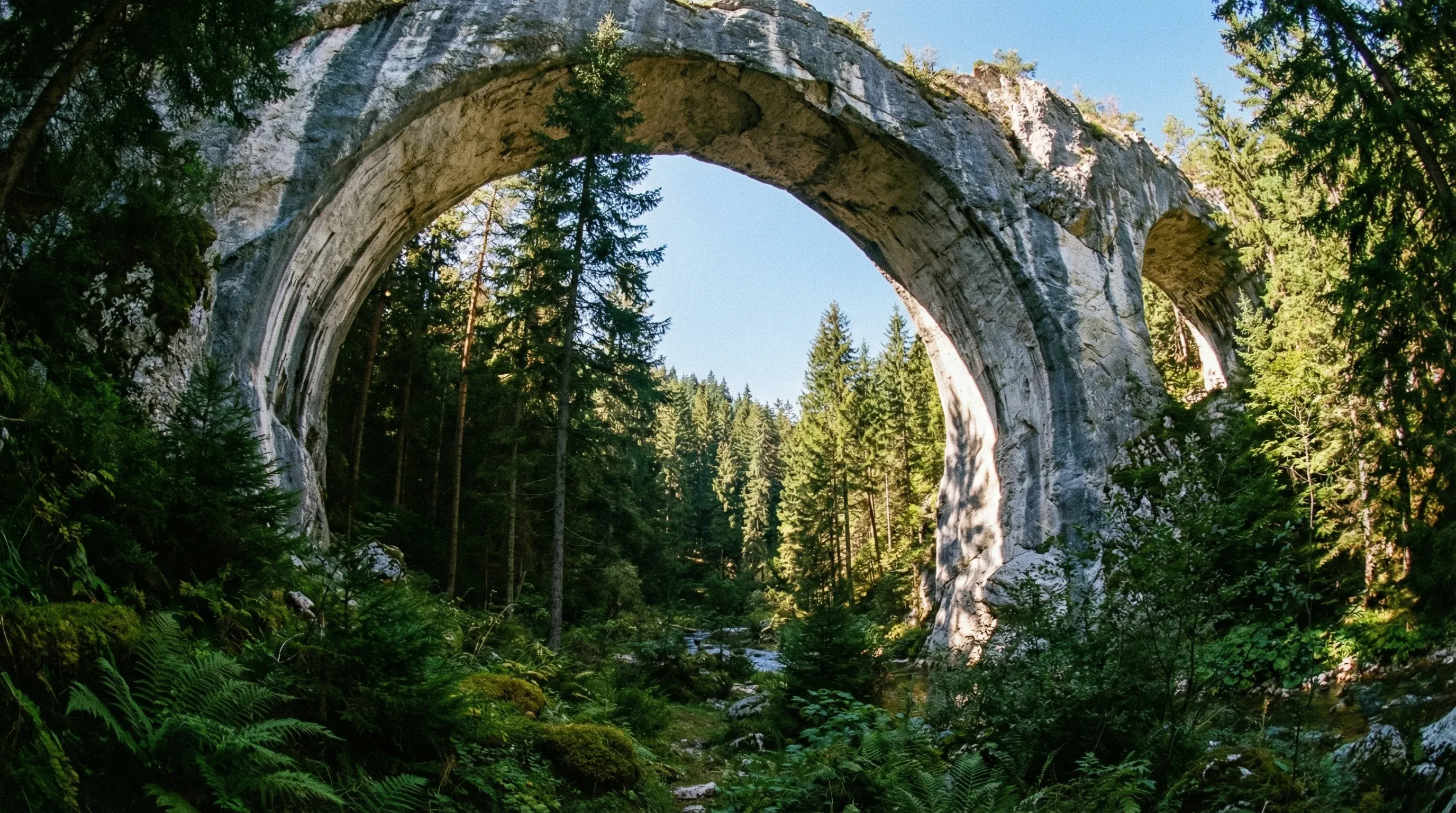 Large natural stone arches known as the Marvelous Bridges, located within a pine forest in the Rhodope Mountains of Bulgaria.