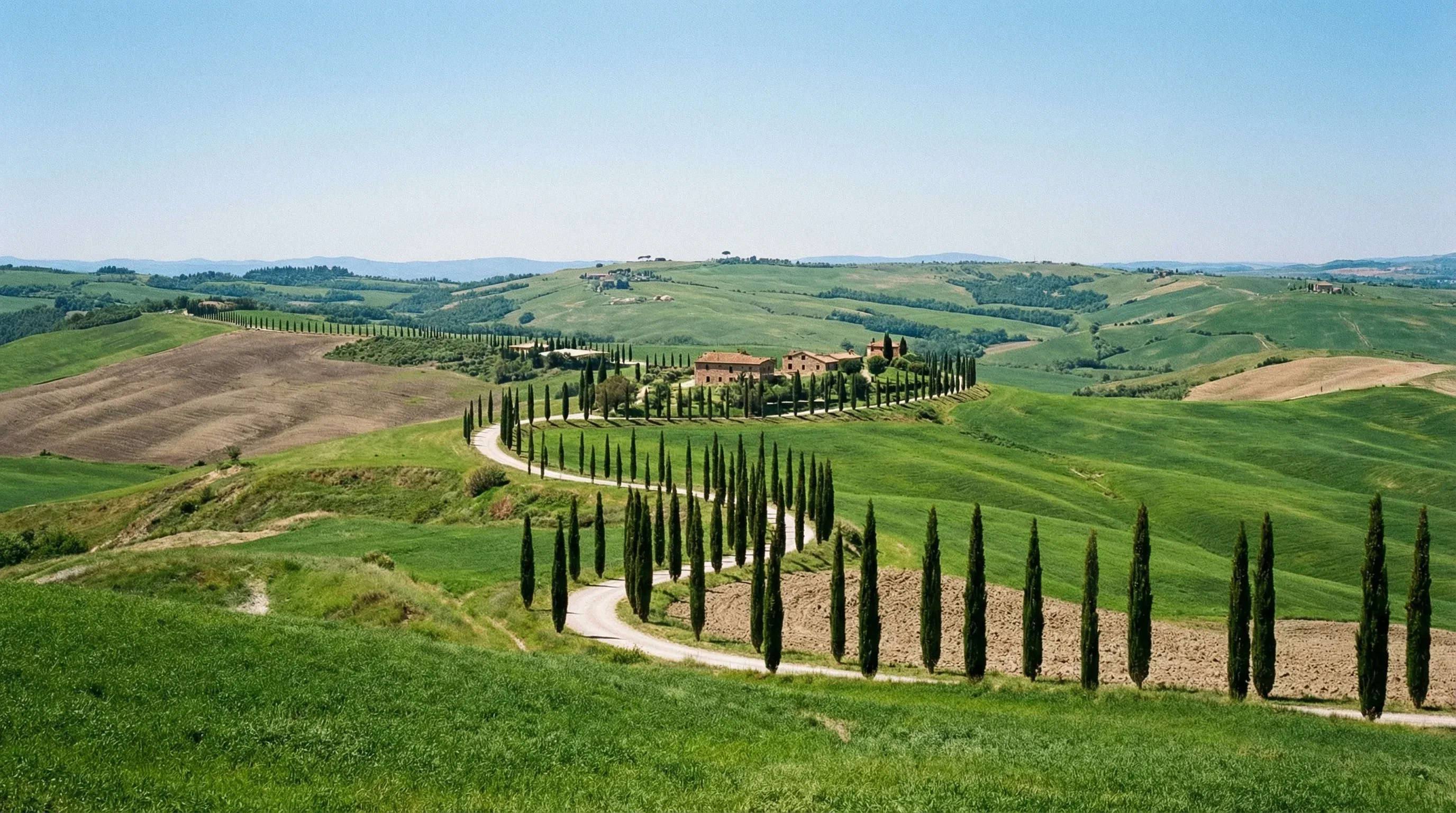 Rolling green hills and a path lined with cypress trees in the Val d'Orcia countryside of Tuscany.