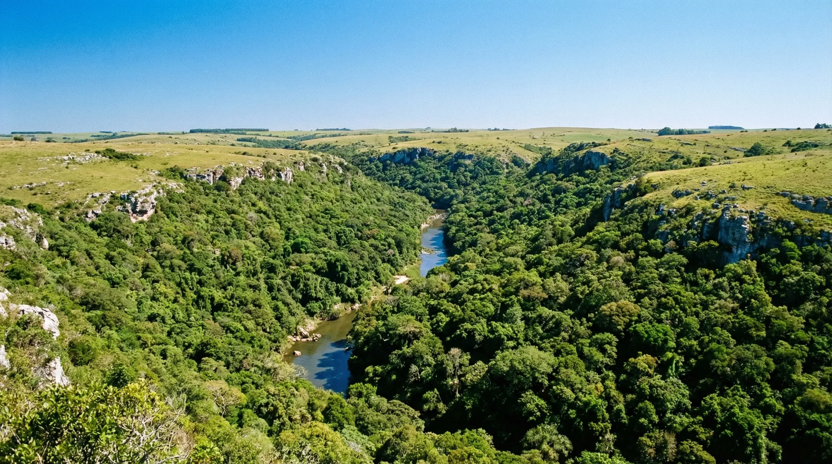 A high-angle view of a deep green river gorge surrounded by forested hills and rocky cliffs in the Uruguayan interior.