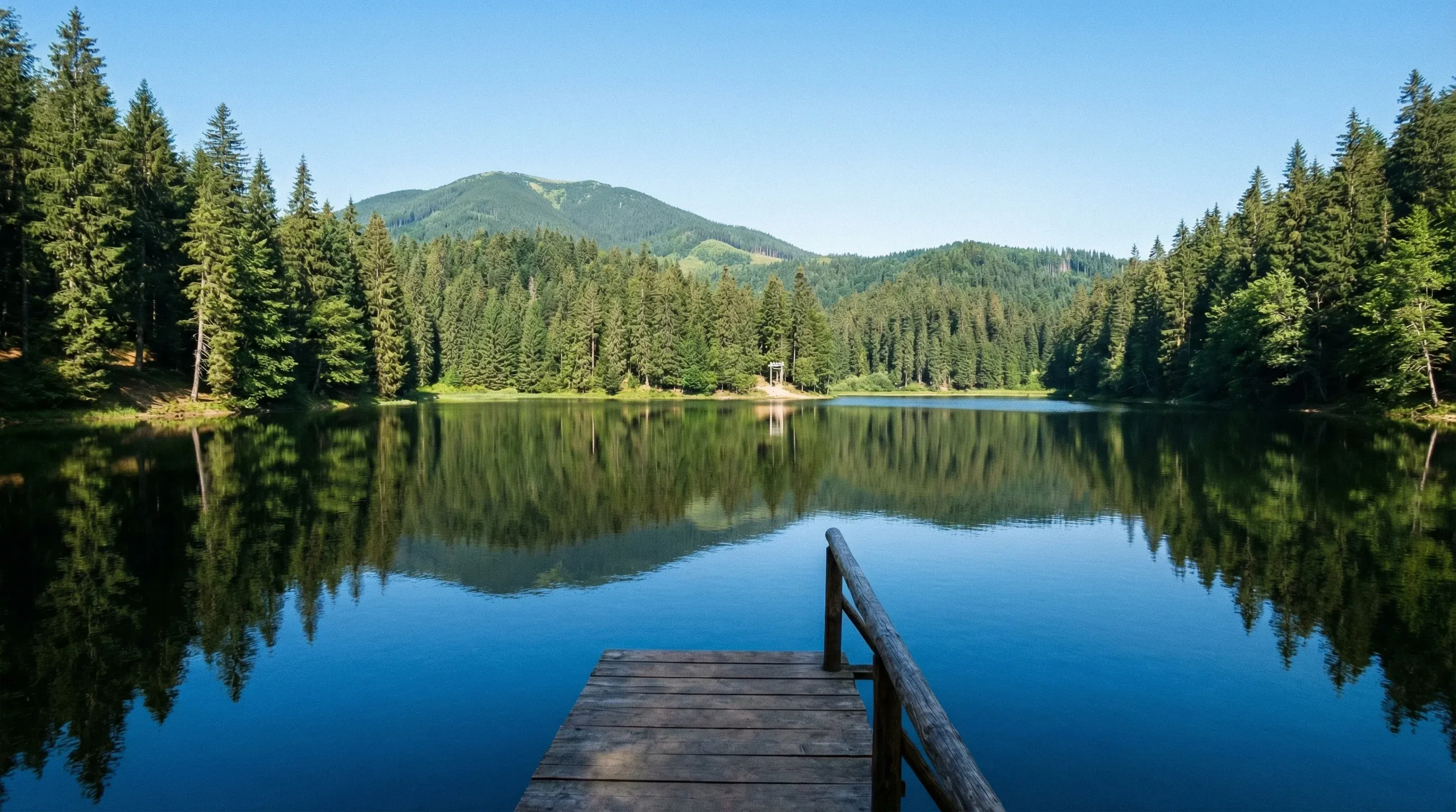 A high-altitude lake in the Carpathian Mountains surrounded by dense evergreen forests under a bright blue sky.
